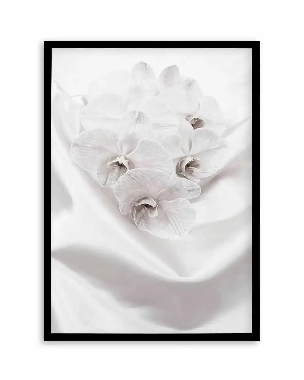 Orchids II Art Print from Olive et Oriel where you can shop wallpaper and artworks online