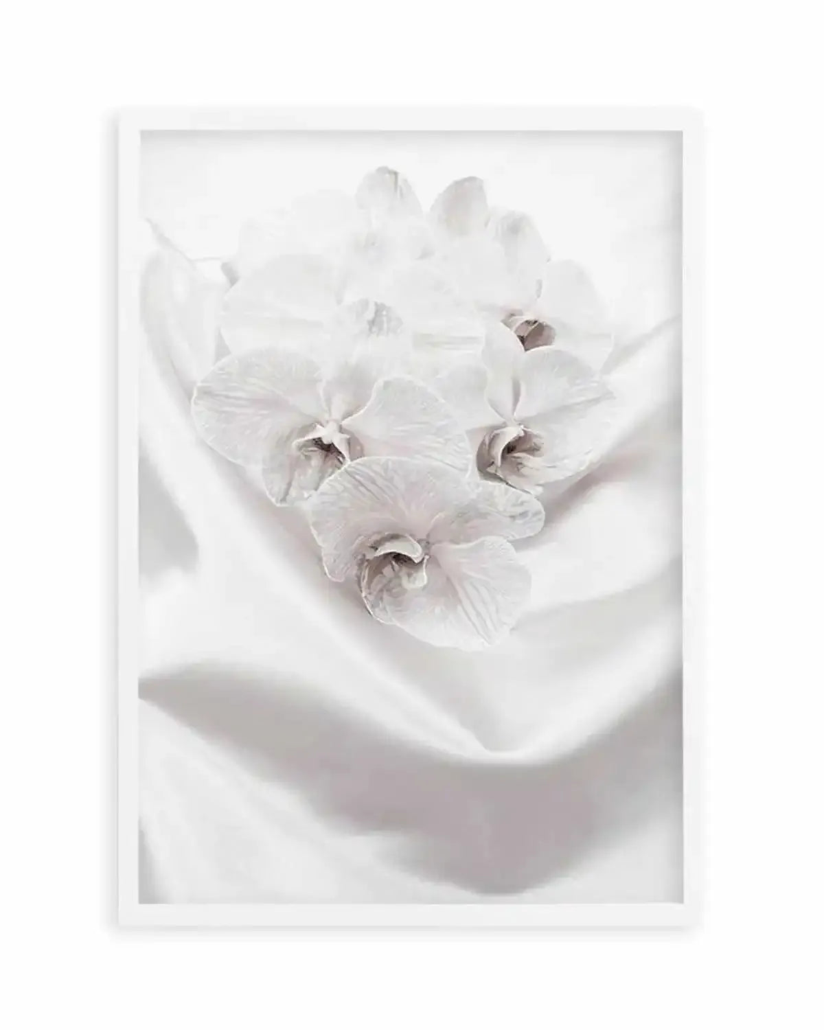 Orchids II Art Print from Olive et Oriel where you can shop wallpaper and artworks online