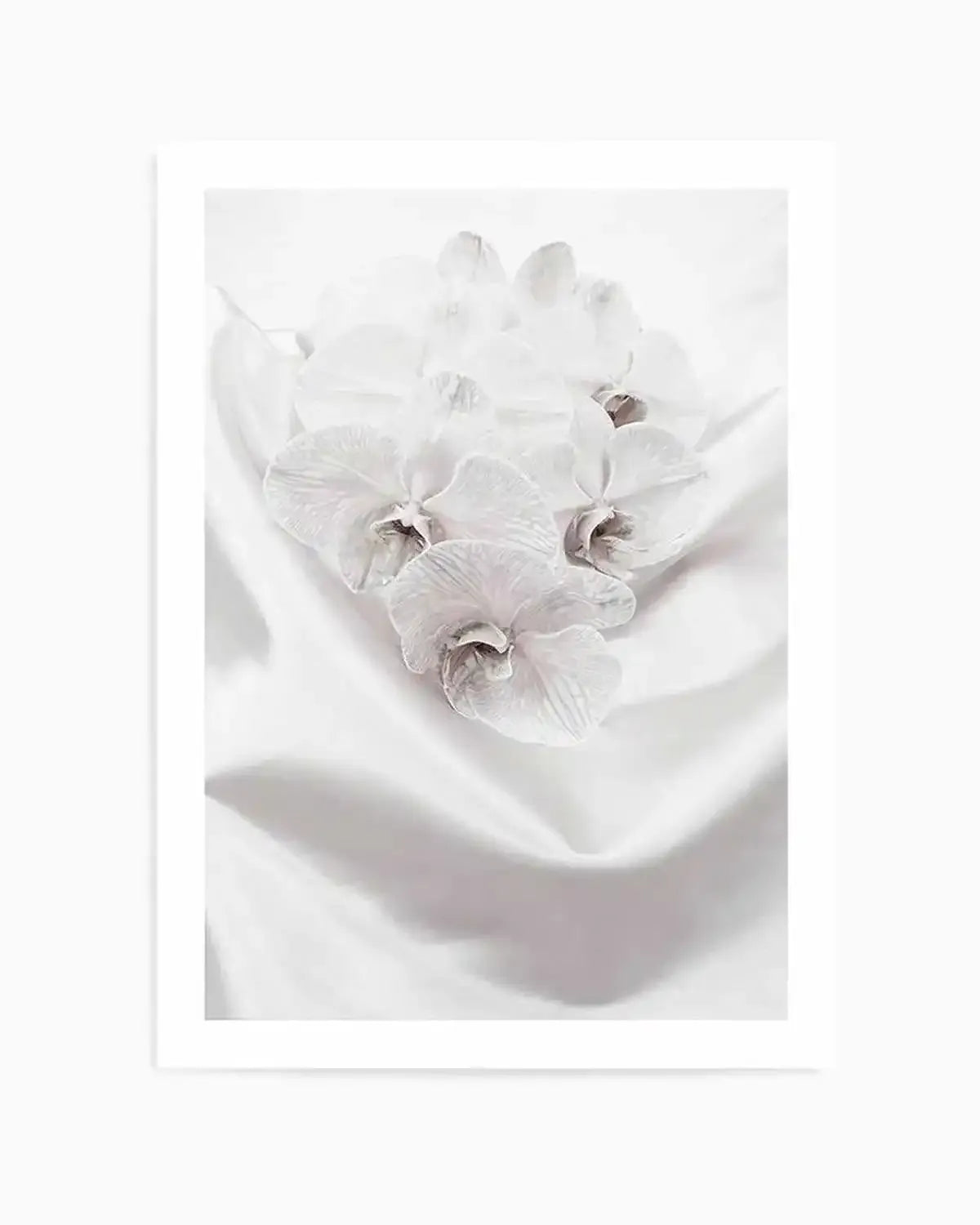 Orchids II Art Print from Olive et Oriel where you can shop wallpaper and artworks online