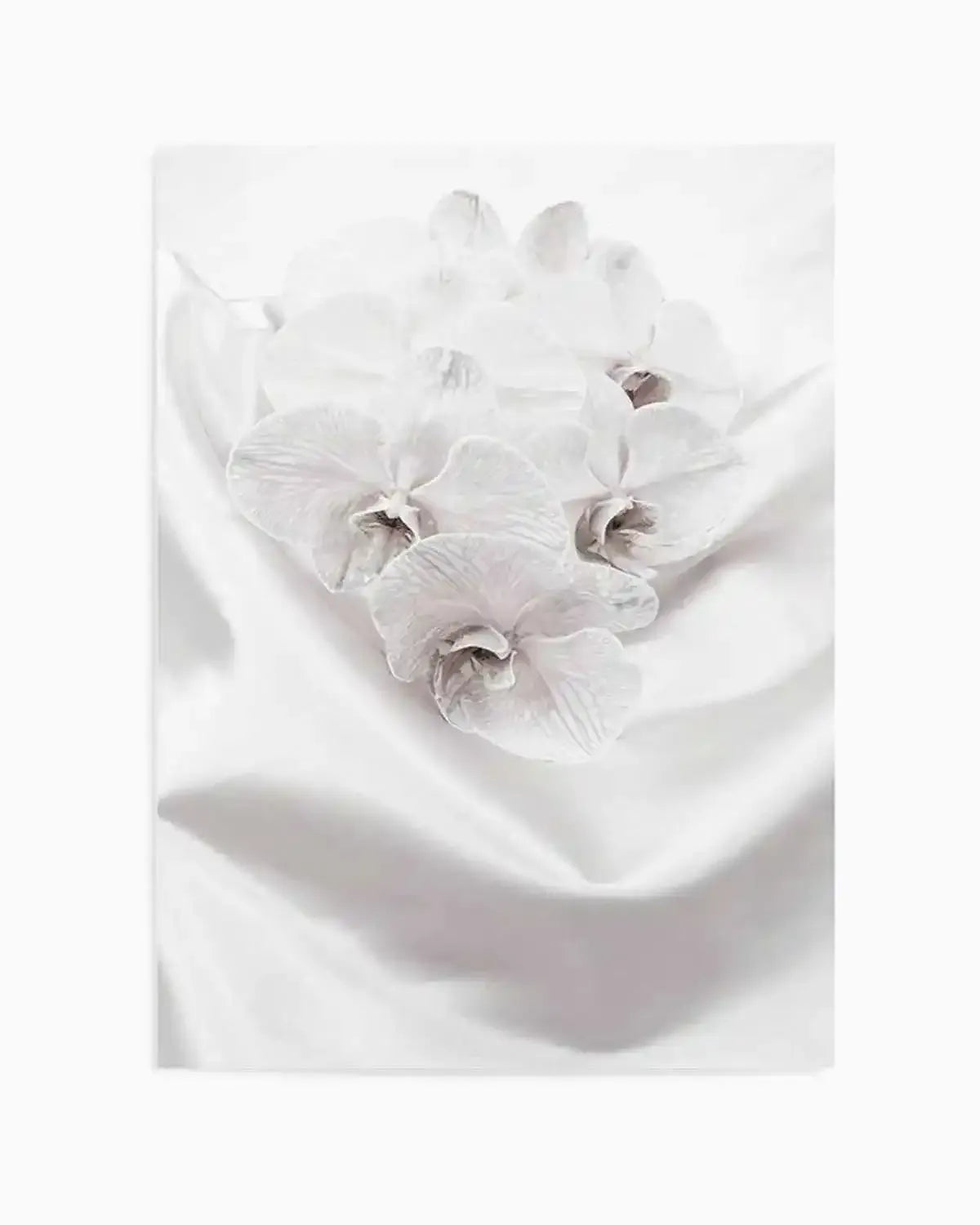 Orchids II Art Print from Olive et Oriel where you can shop wallpaper and artworks online