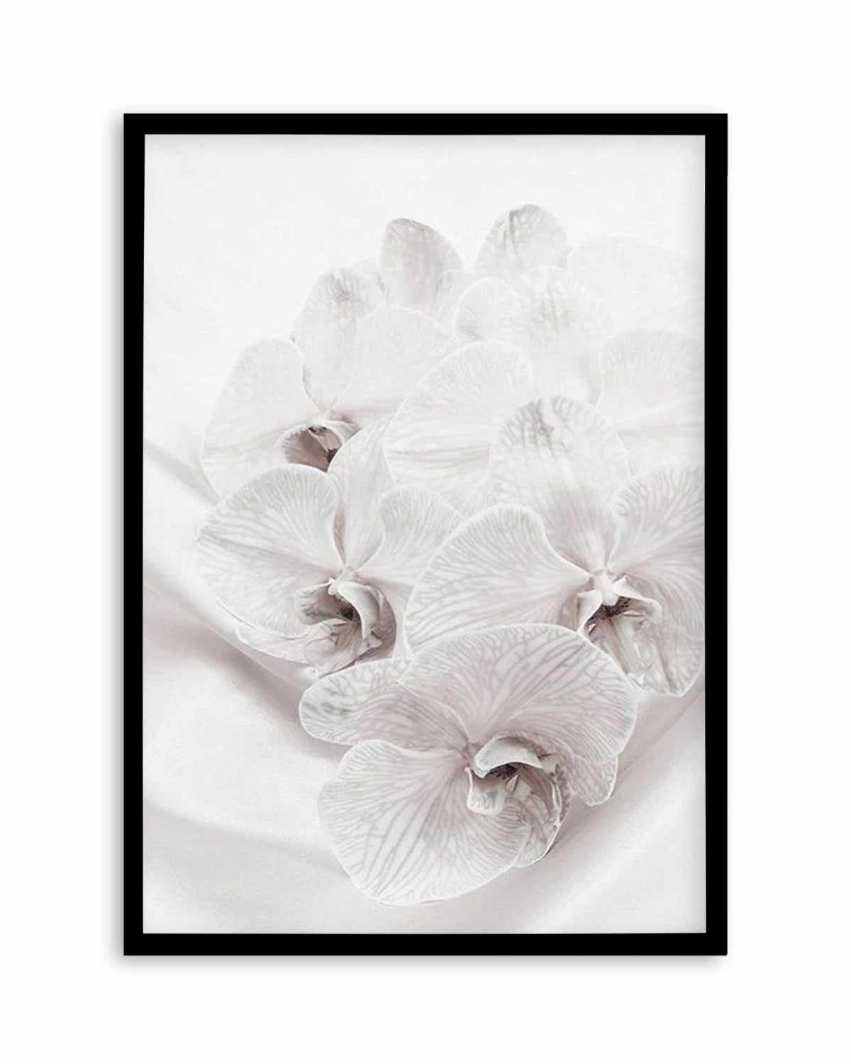 Orchids III Art Print