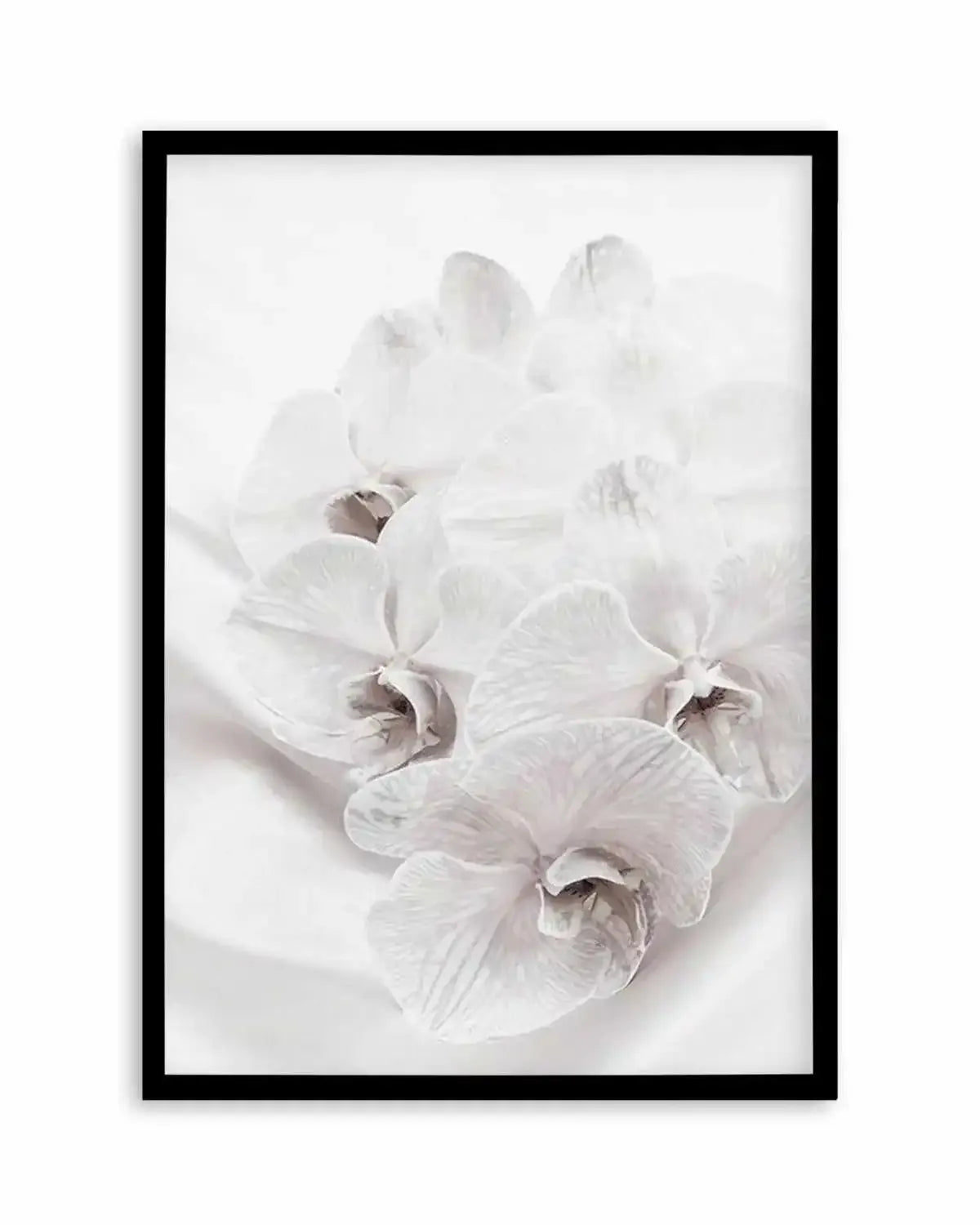 Orchids III Art Print from Olive et Oriel where you can shop wallpaper and artworks online