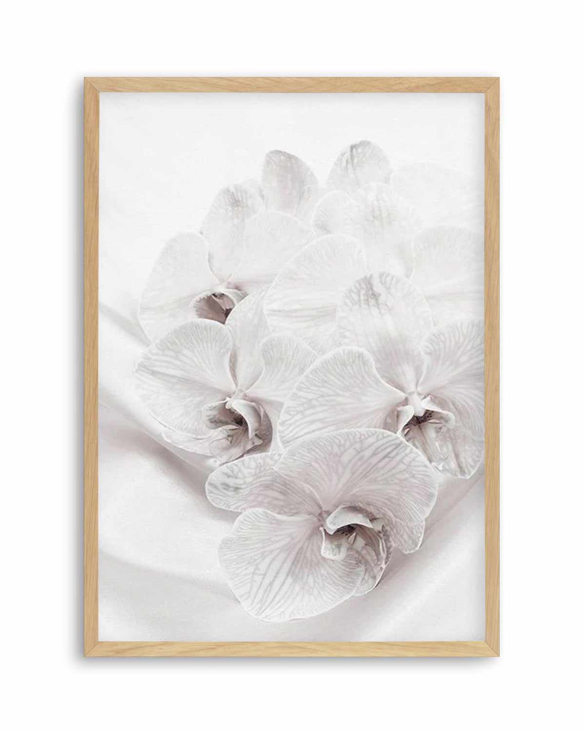 Orchids III Art Print