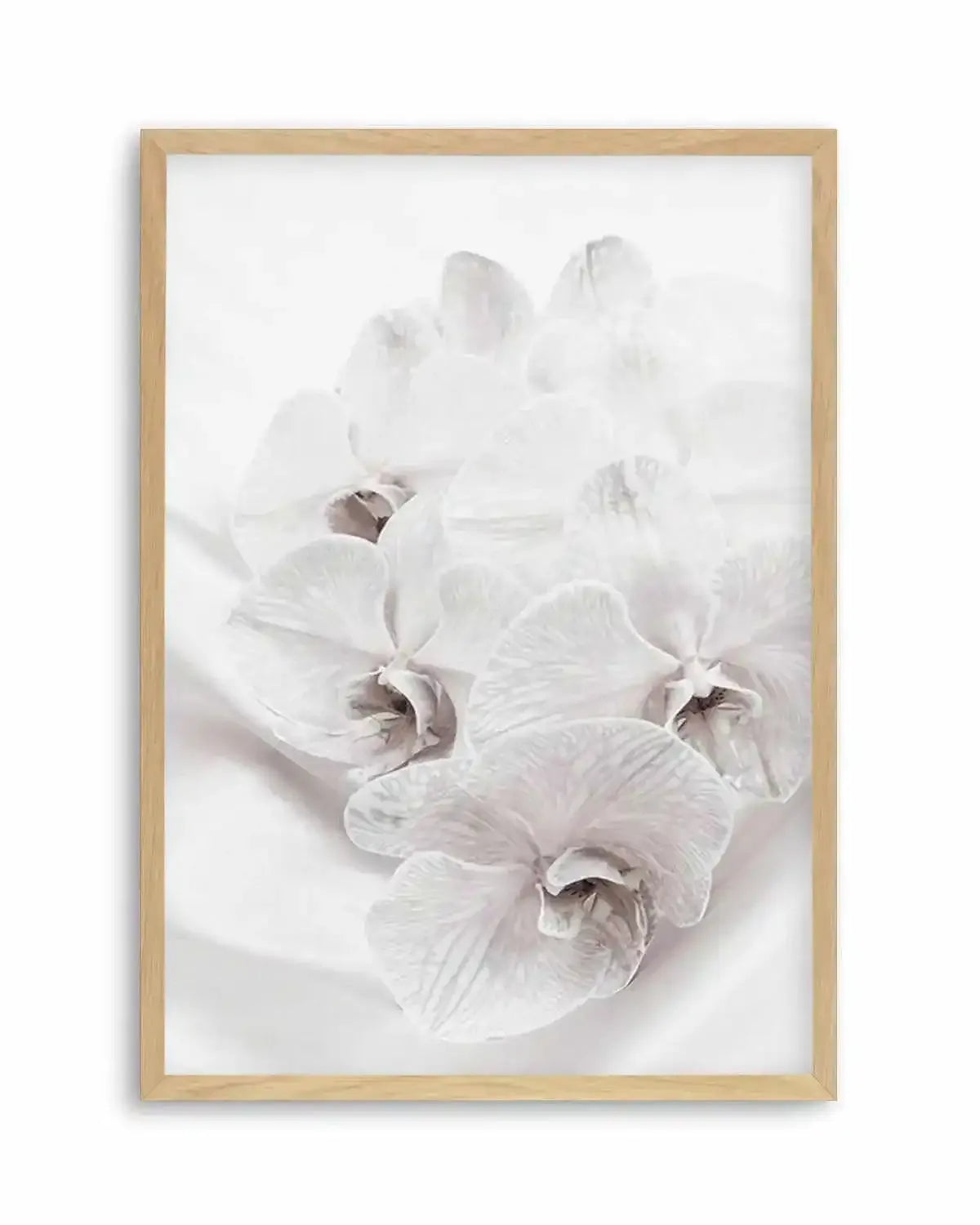 Orchids III Art Print from Olive et Oriel where you can shop wallpaper and artworks online