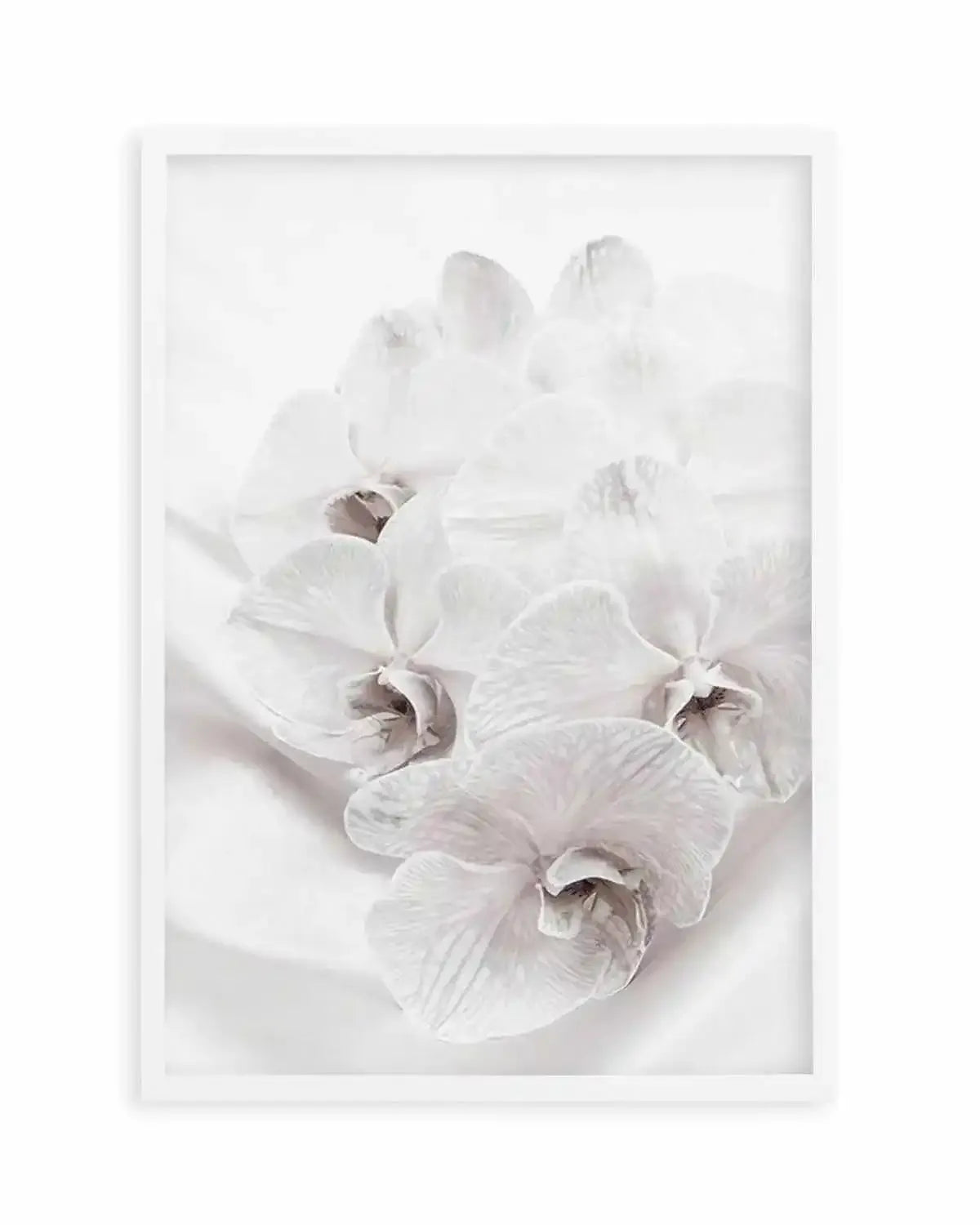 Orchids III Art Print from Olive et Oriel where you can shop wallpaper and artworks online
