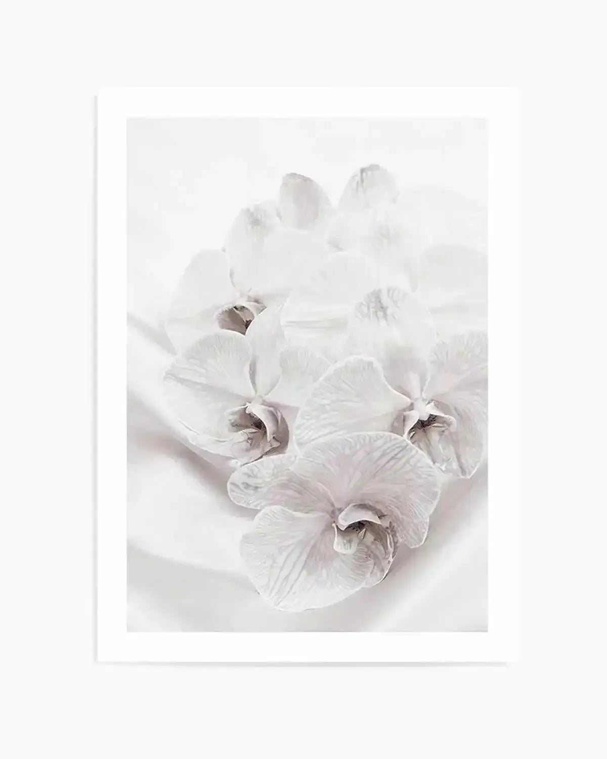 Orchids III Art Print from Olive et Oriel where you can shop wallpaper and artworks online