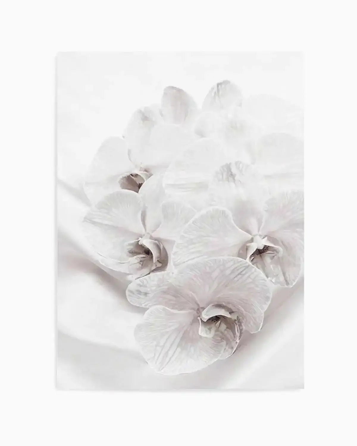 Orchids III Art Print from Olive et Oriel where you can shop wallpaper and artworks online