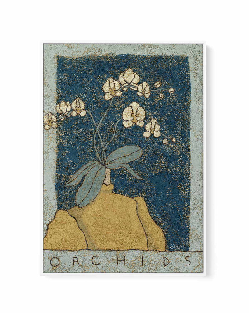 Orchids by Julie Celina | Framed Canvas Art Print