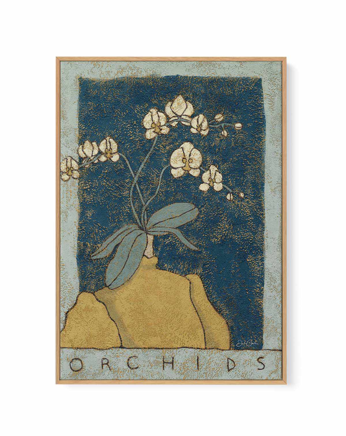 Orchids by Julie Celina | Framed Canvas Art Print