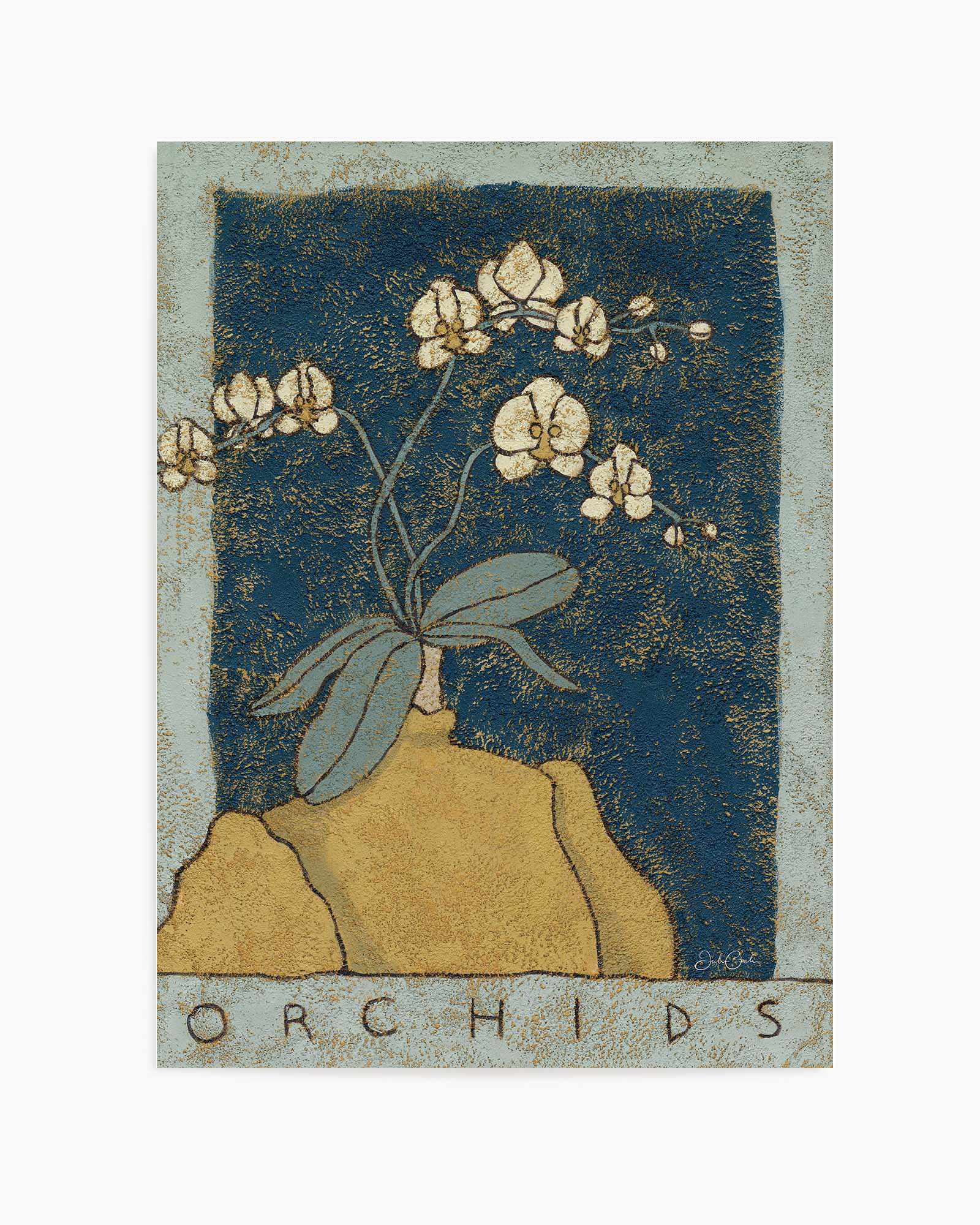 Orchids by Julie Celina | Art Print