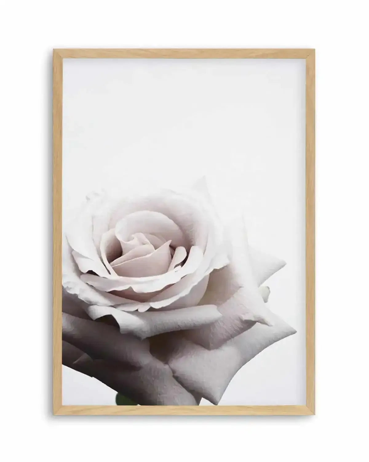 Oscar Rose Art Print from Olive et Oriel where you can shop wallpaper and artworks online