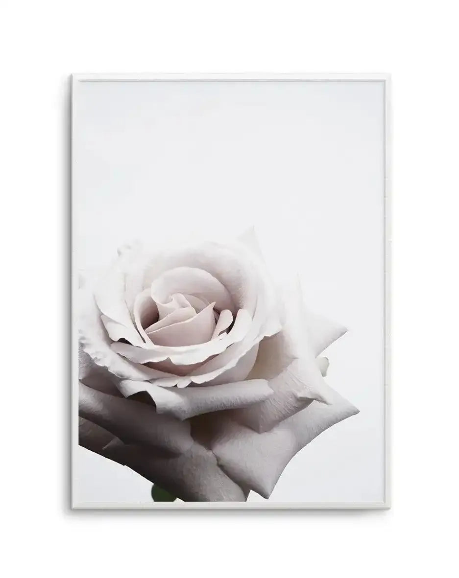 Oscar Rose Art Print-PRINT-Olive et Oriel-Olive et Oriel-A5 | 5.8" x 8.3" | 14.8 x 21cm-Unframed Art Print-With White Border-Buy-Australian-Art-Prints-Online-with-Olive-et-Oriel-Your-Artwork-Specialists-Austrailia-Decorate-With-Coastal-Photo-Wall-Art-Prints-From-Our-Beach-House-Artwork-Collection-Fine-Poster-and-Framed-Artwork