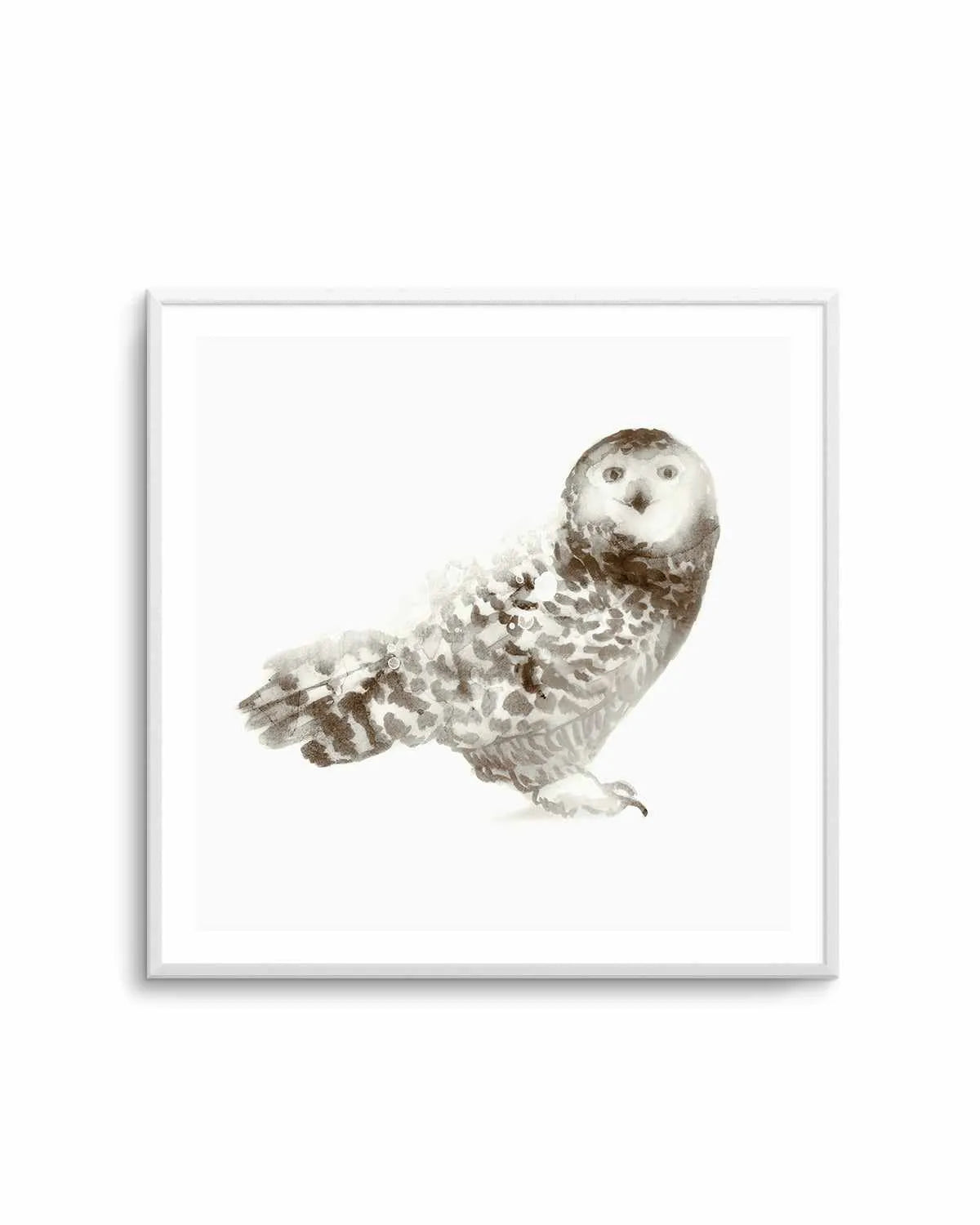 Owl Art Print from Olive et Oriel where you can shop wallpaper and artworks online