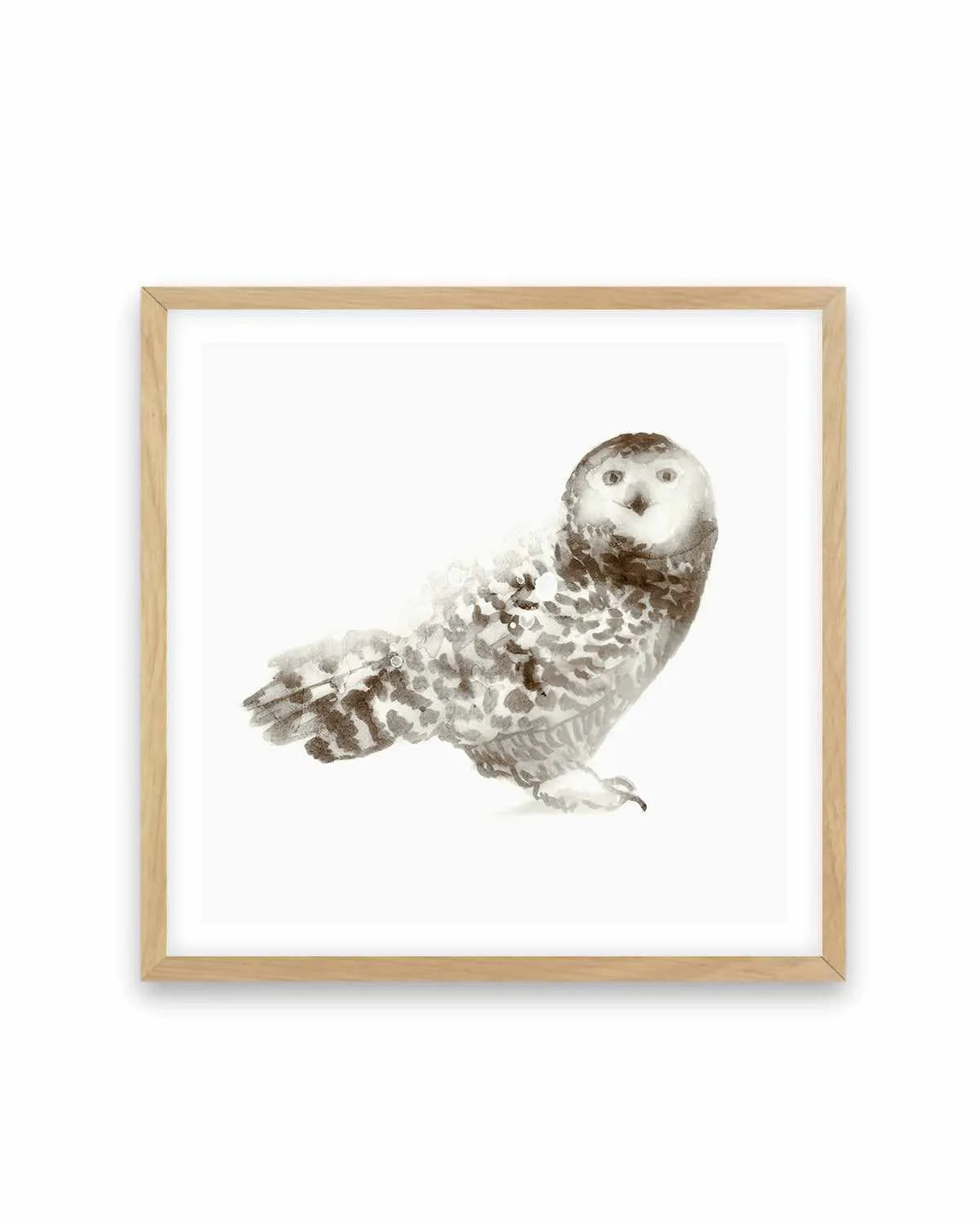 Owl Art Print from Olive et Oriel where you can shop wallpaper and artworks online