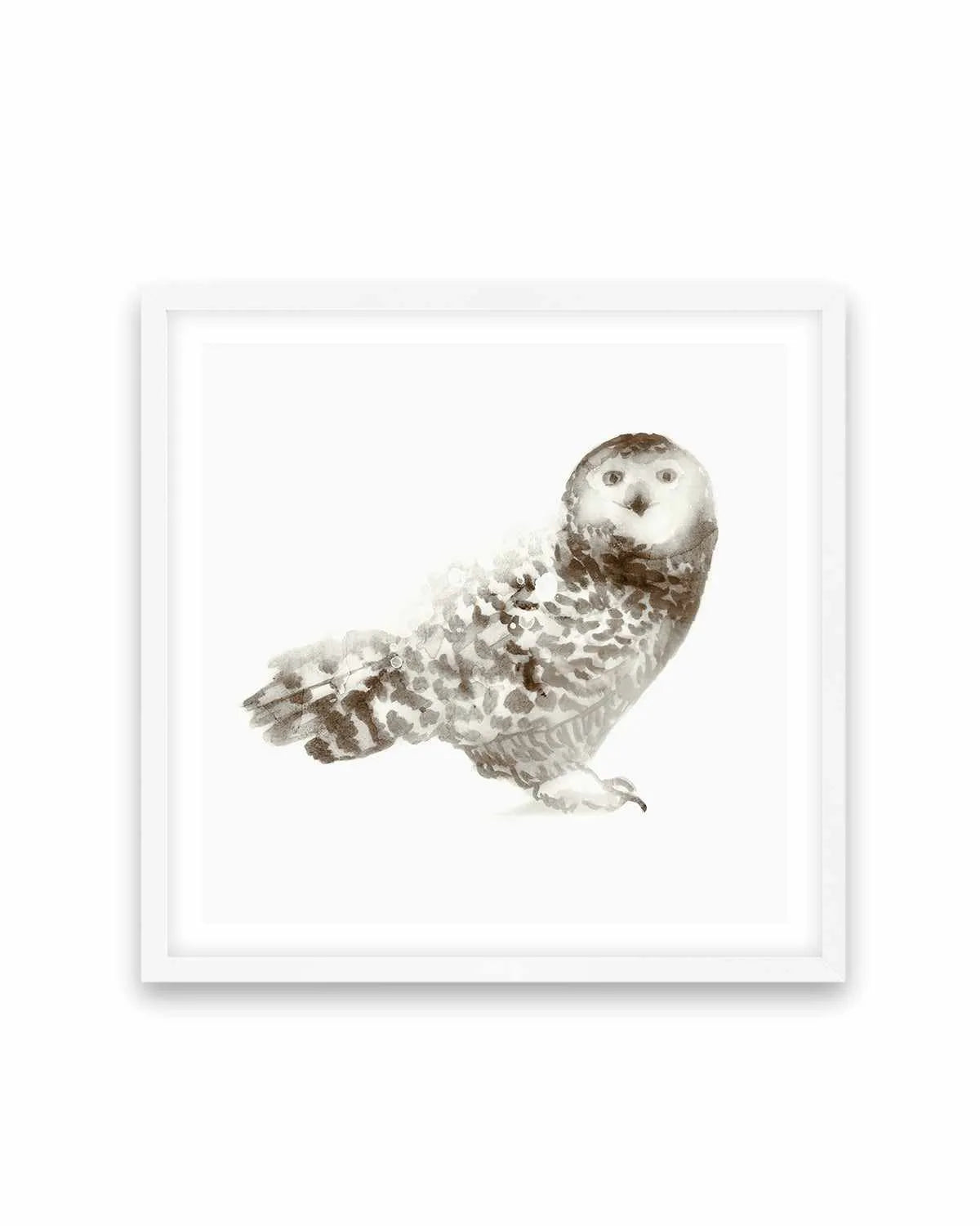 Owl Art Print from Olive et Oriel where you can shop wallpaper and artworks online