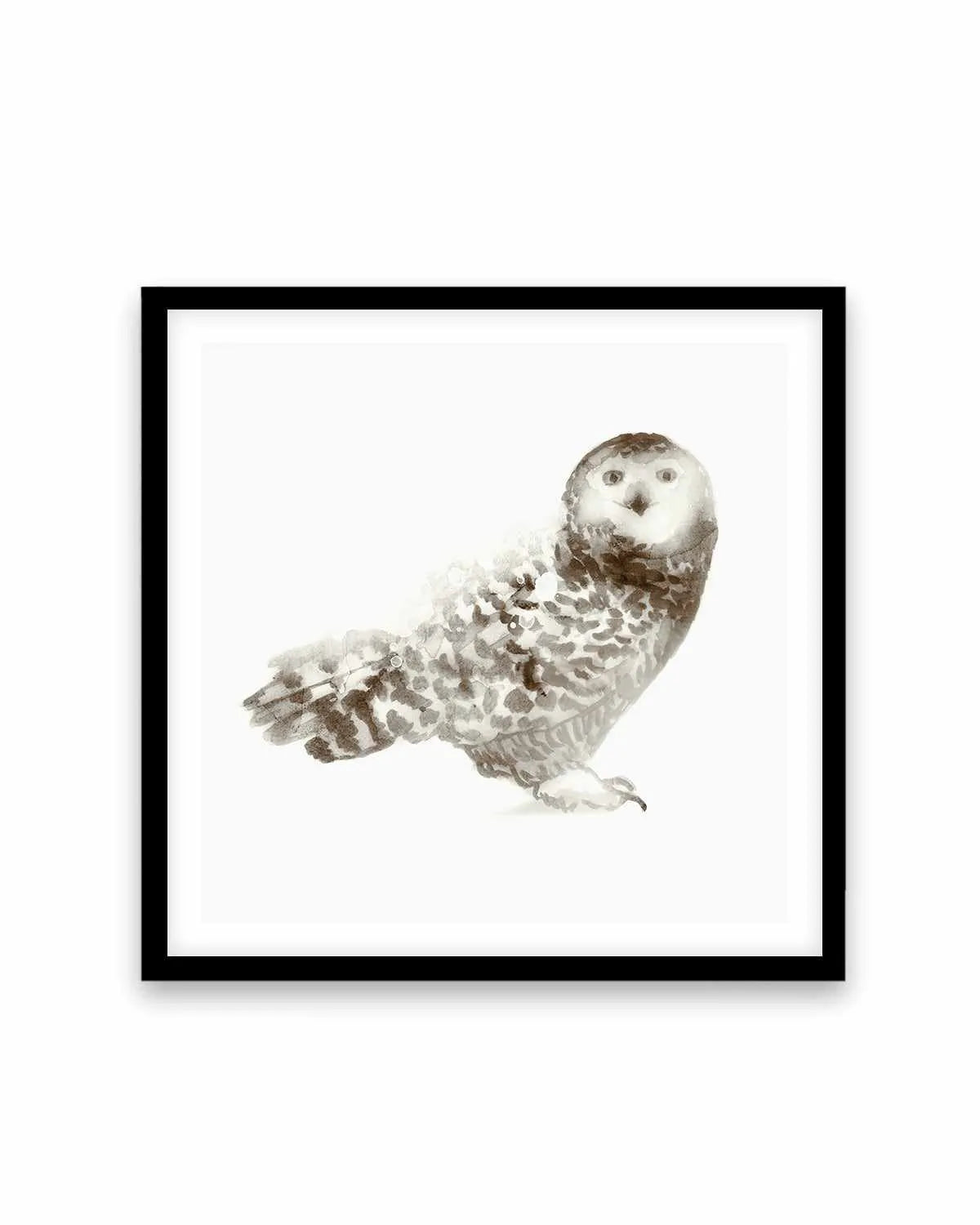 Owl Art Print from Olive et Oriel where you can shop wallpaper and artworks online
