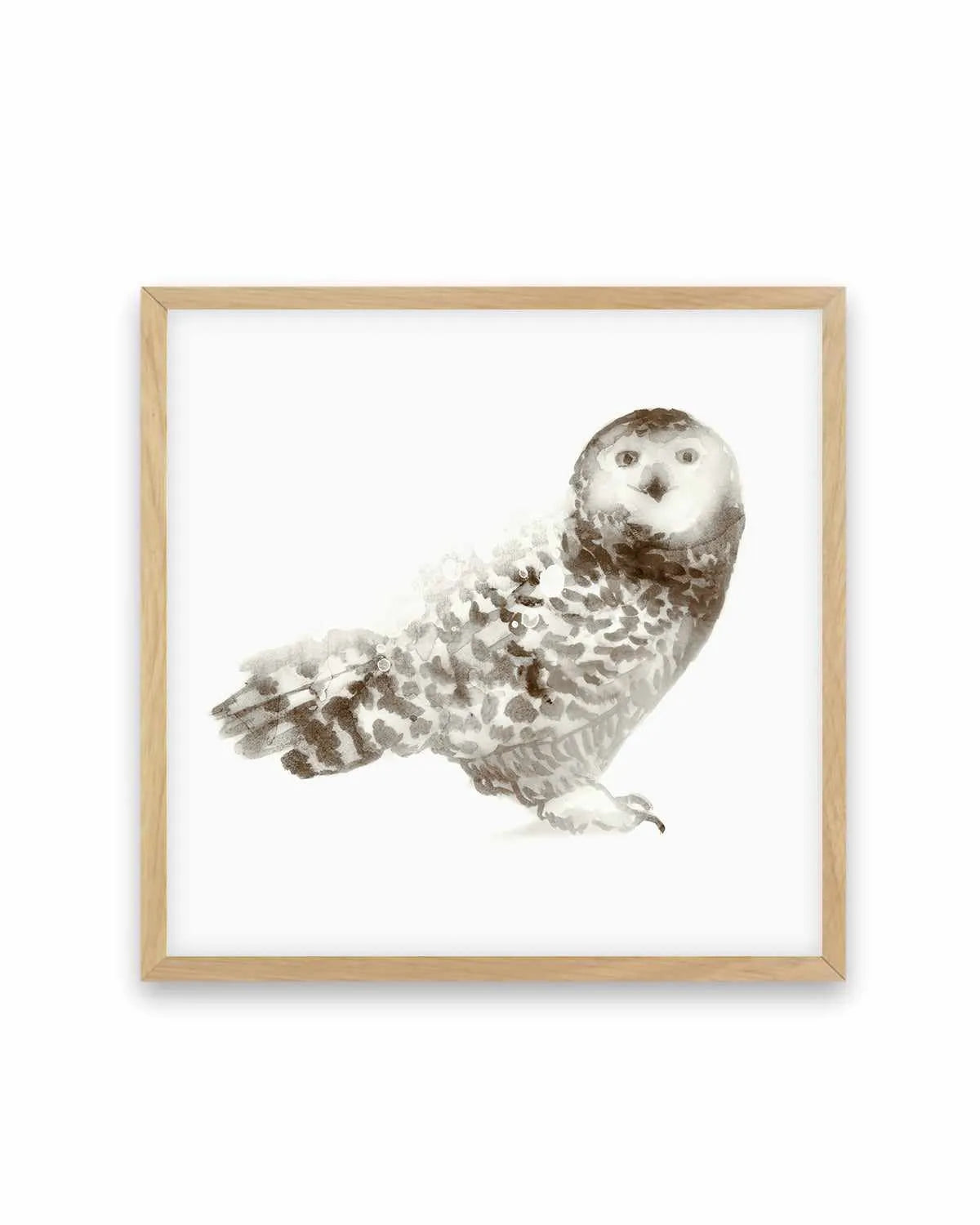 Owl Art Print from Olive et Oriel where you can shop wallpaper and artworks online