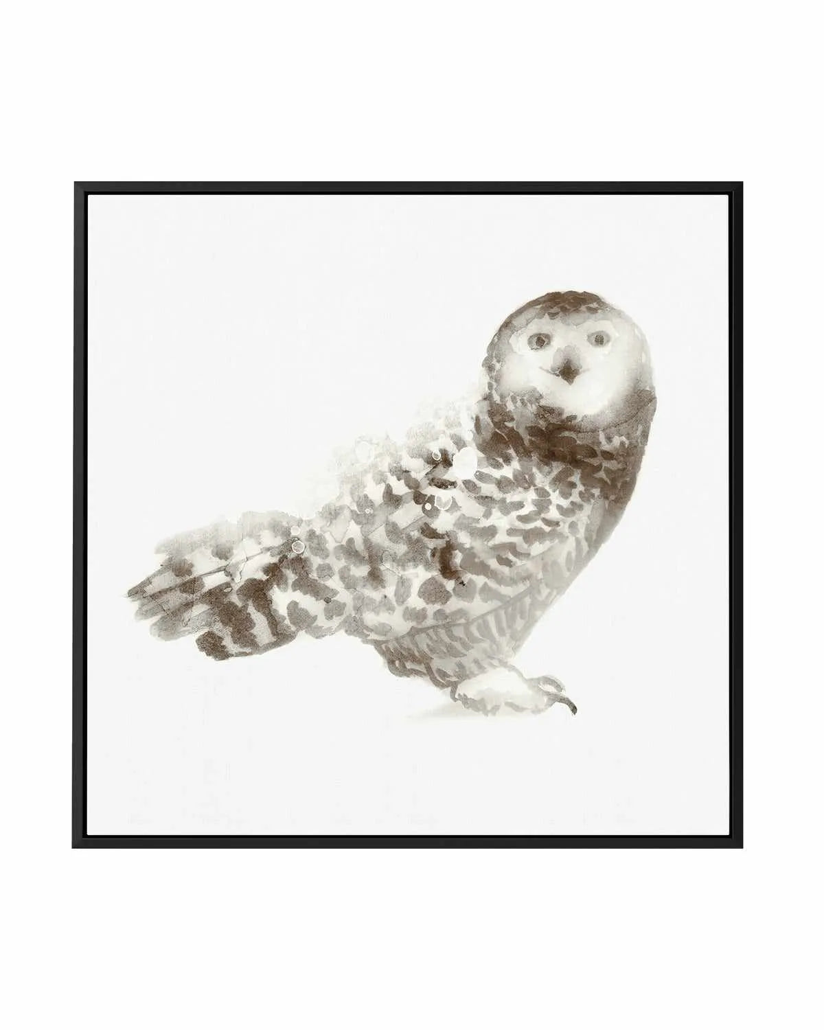 Owl | Framed Canvas Art Print from Olive et Oriel where you can shop wallpaper and artworks online