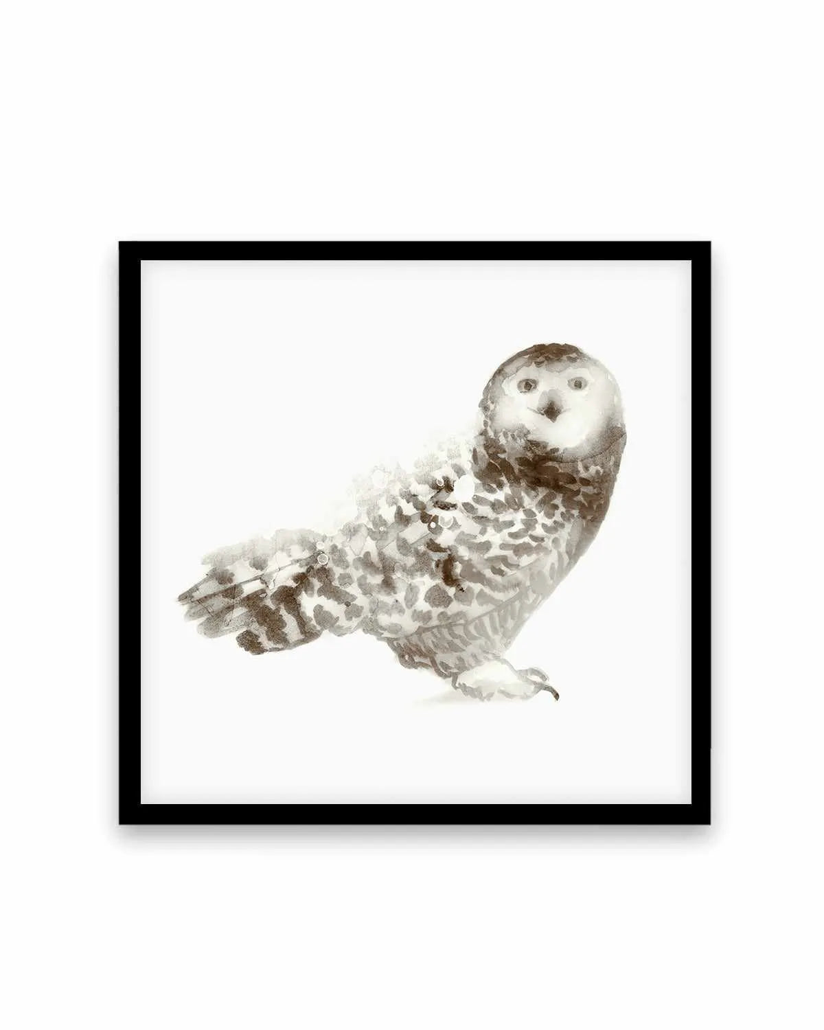 Owl Art Print from Olive et Oriel where you can shop wallpaper and artworks online