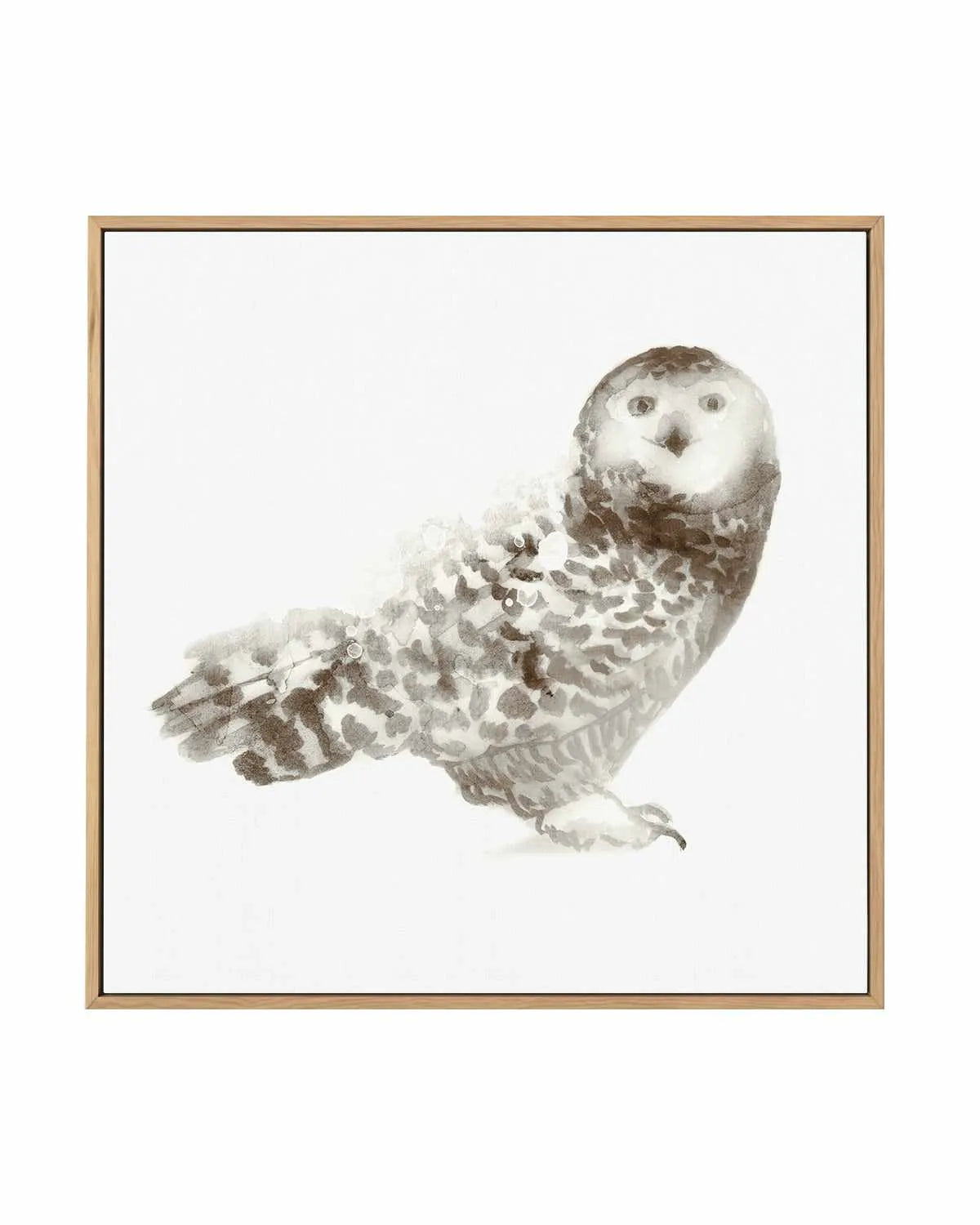 Owl | Framed Canvas Art Print from Olive et Oriel where you can shop wallpaper and artworks online