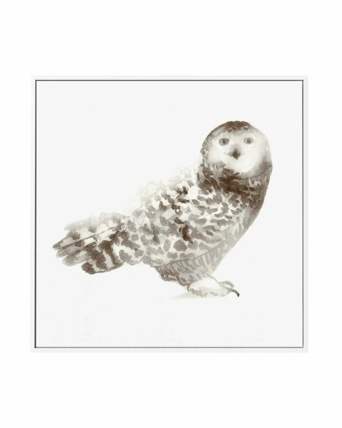 Owl | Framed Canvas Art Print from Olive et Oriel where you can shop wallpaper and artworks online