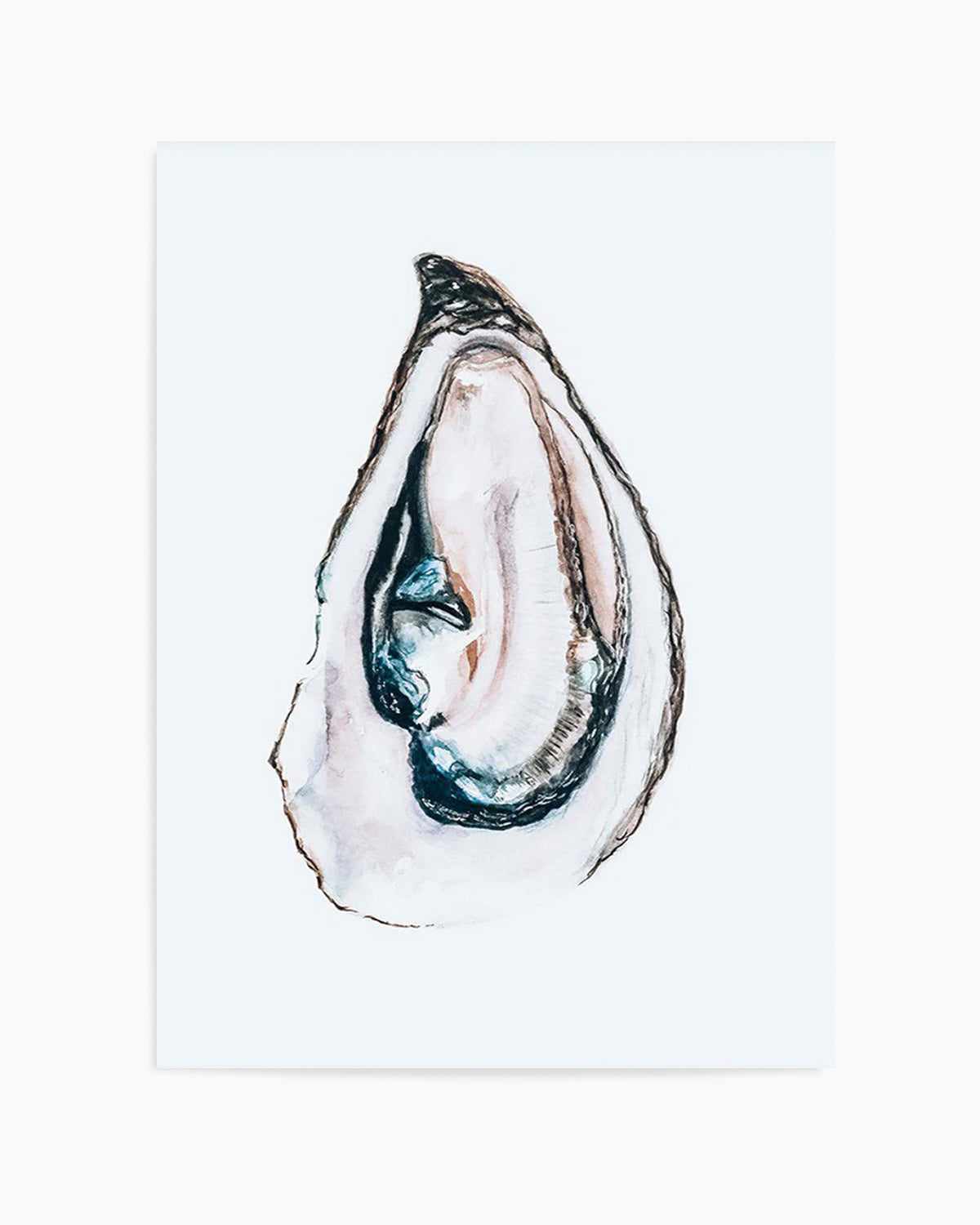 Oyster II Art Print