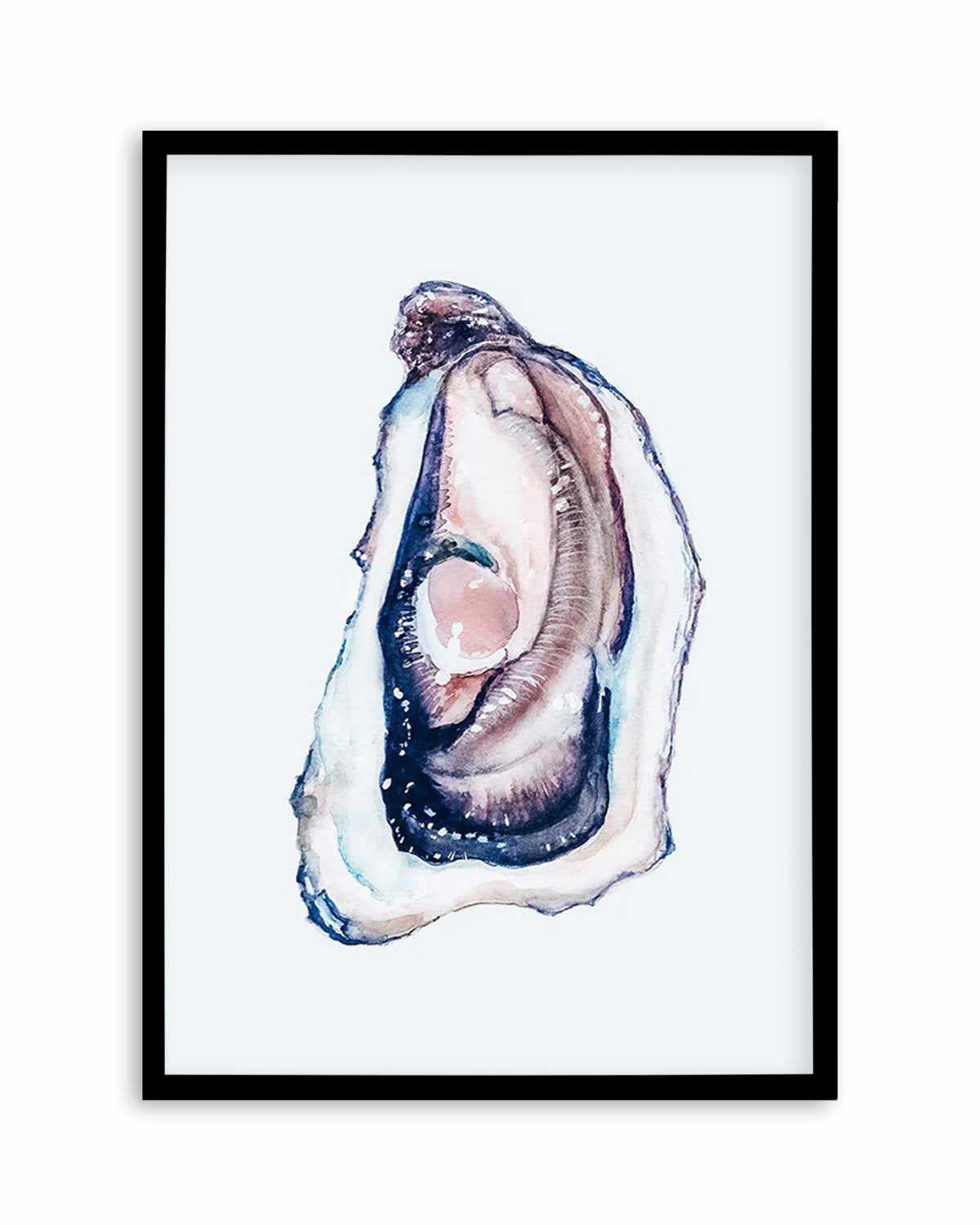 Oyster III Art Print