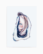 Oyster III Art Print