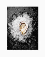 Oysters on Ice Art Print