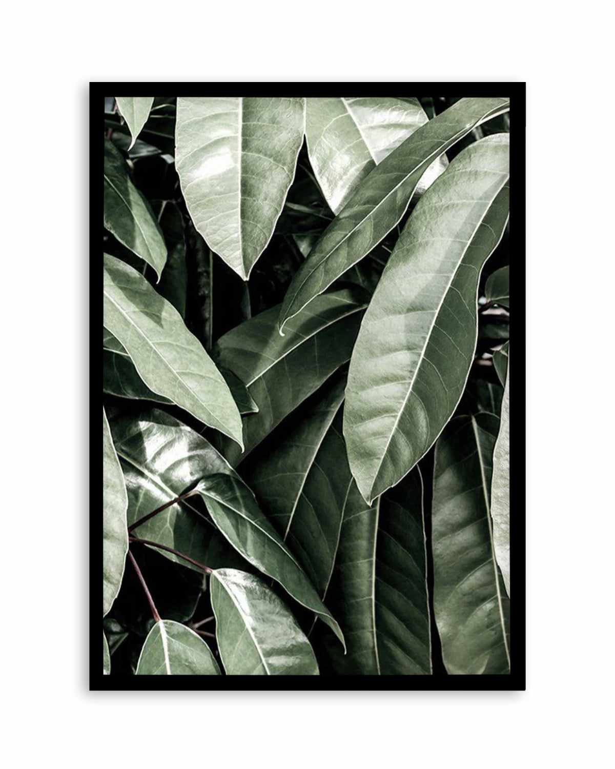 Pale Leaves Art Print