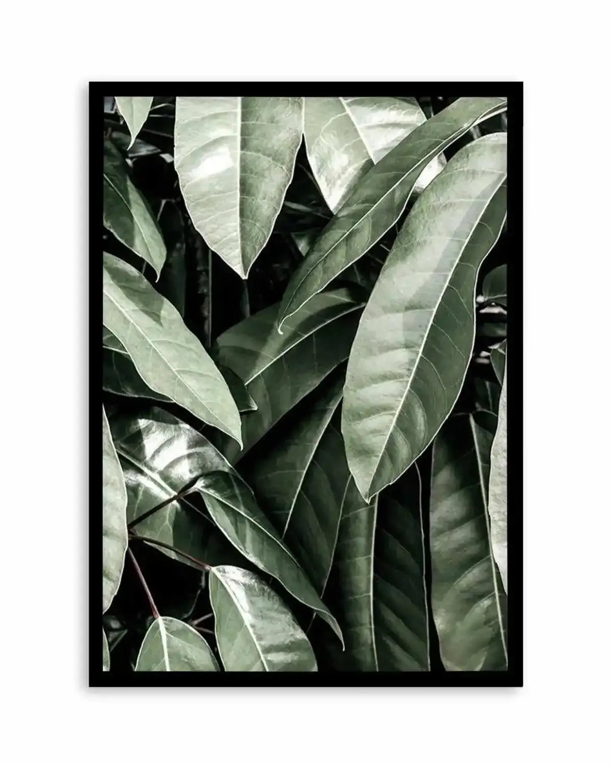 Pale Leaves Art Print from Olive et Oriel where you can shop wallpaper and artworks online