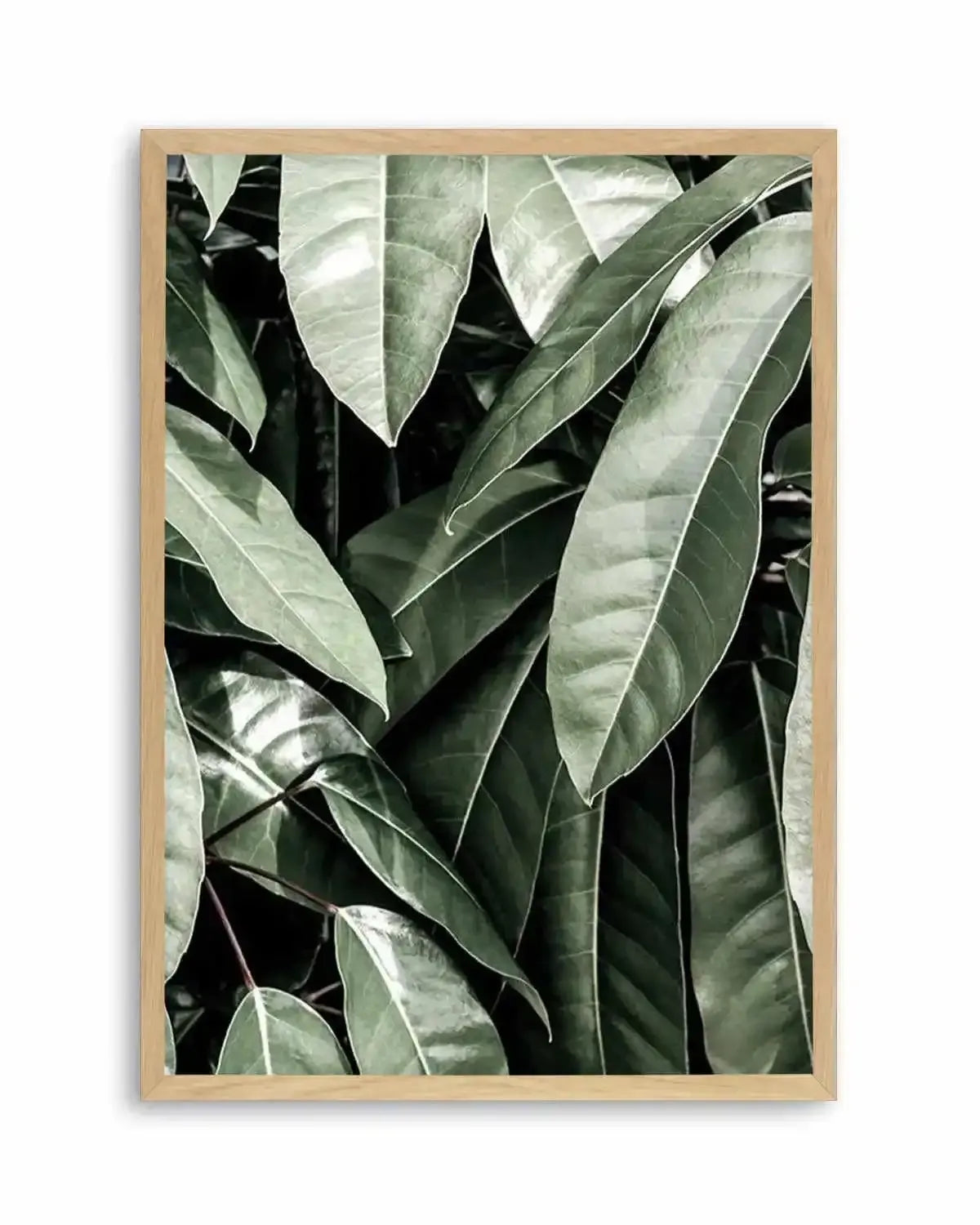 Pale Leaves Art Print from Olive et Oriel where you can shop wallpaper and artworks online