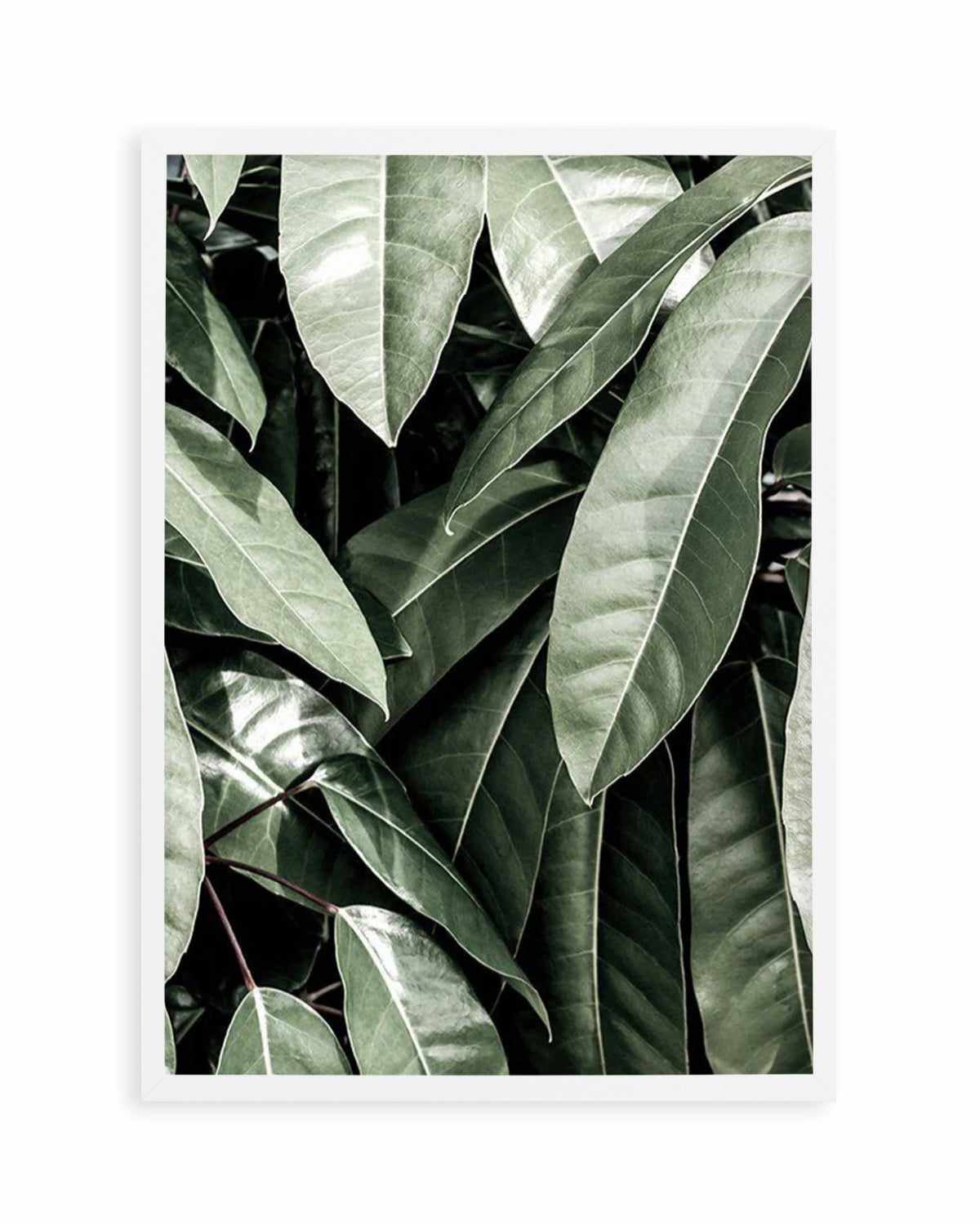 Pale Leaves Art Print