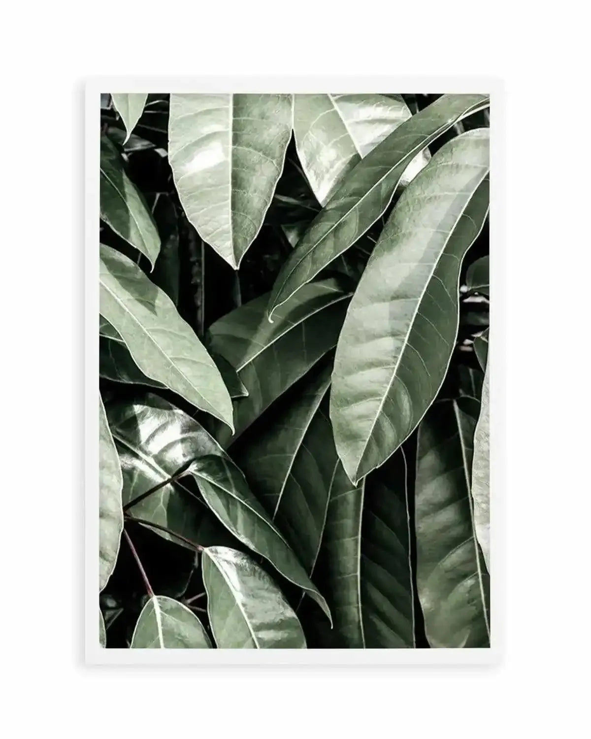 Pale Leaves Art Print from Olive et Oriel where you can shop wallpaper and artworks online