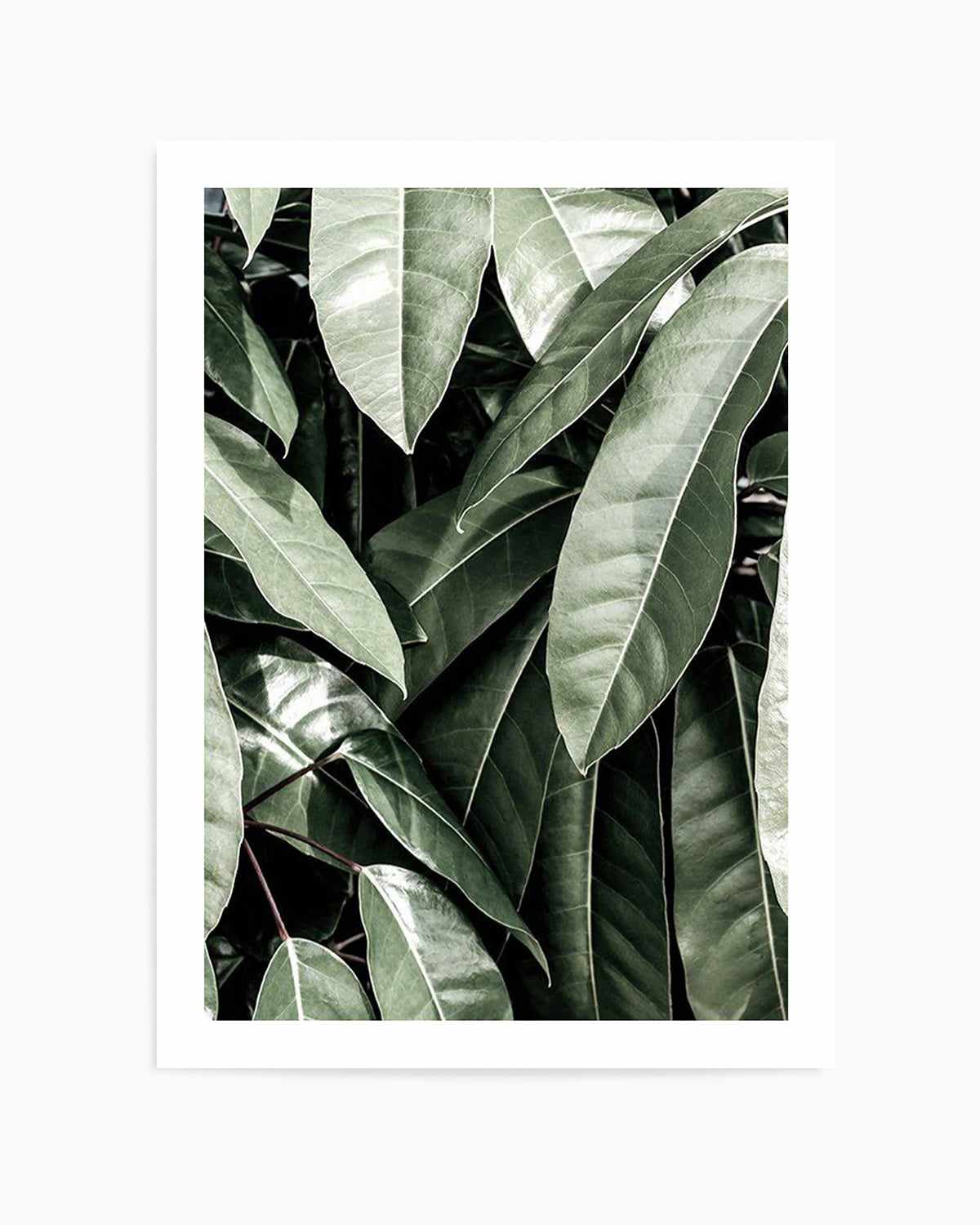 Pale Leaves Art Print