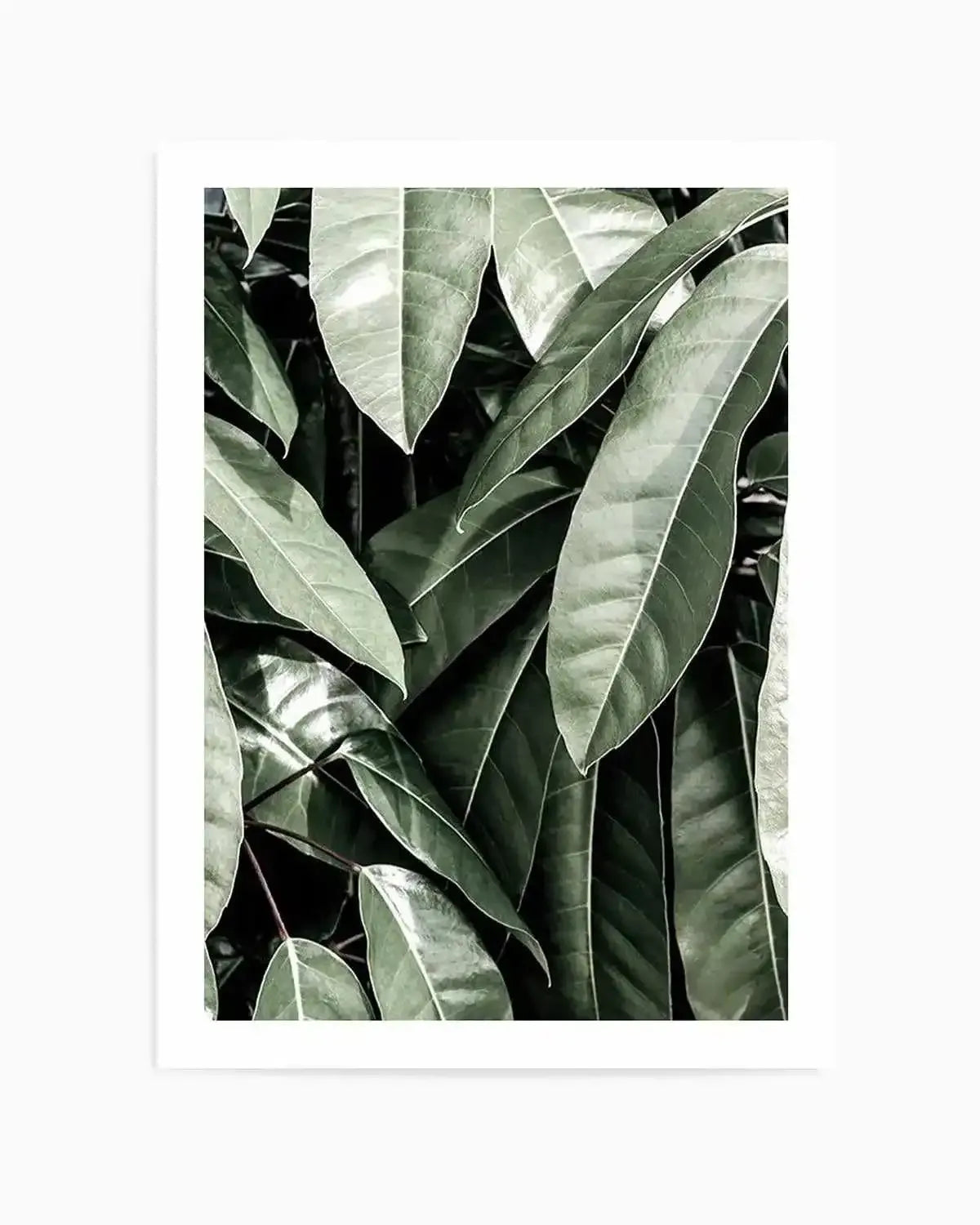 Pale Leaves Art Print from Olive et Oriel where you can shop wallpaper and artworks online