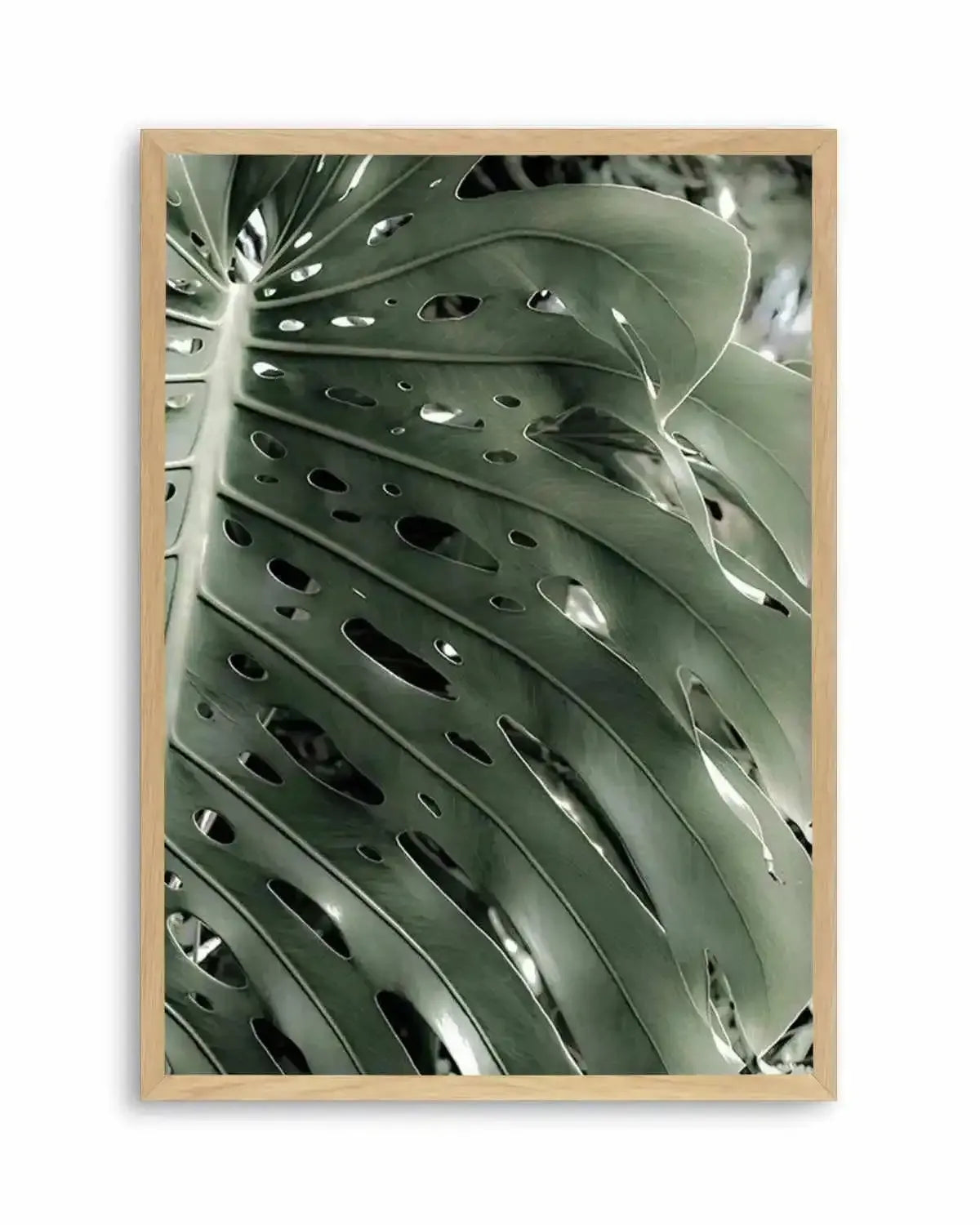 Pale Monstera Art Print from Olive et Oriel where you can shop wallpaper and artworks online