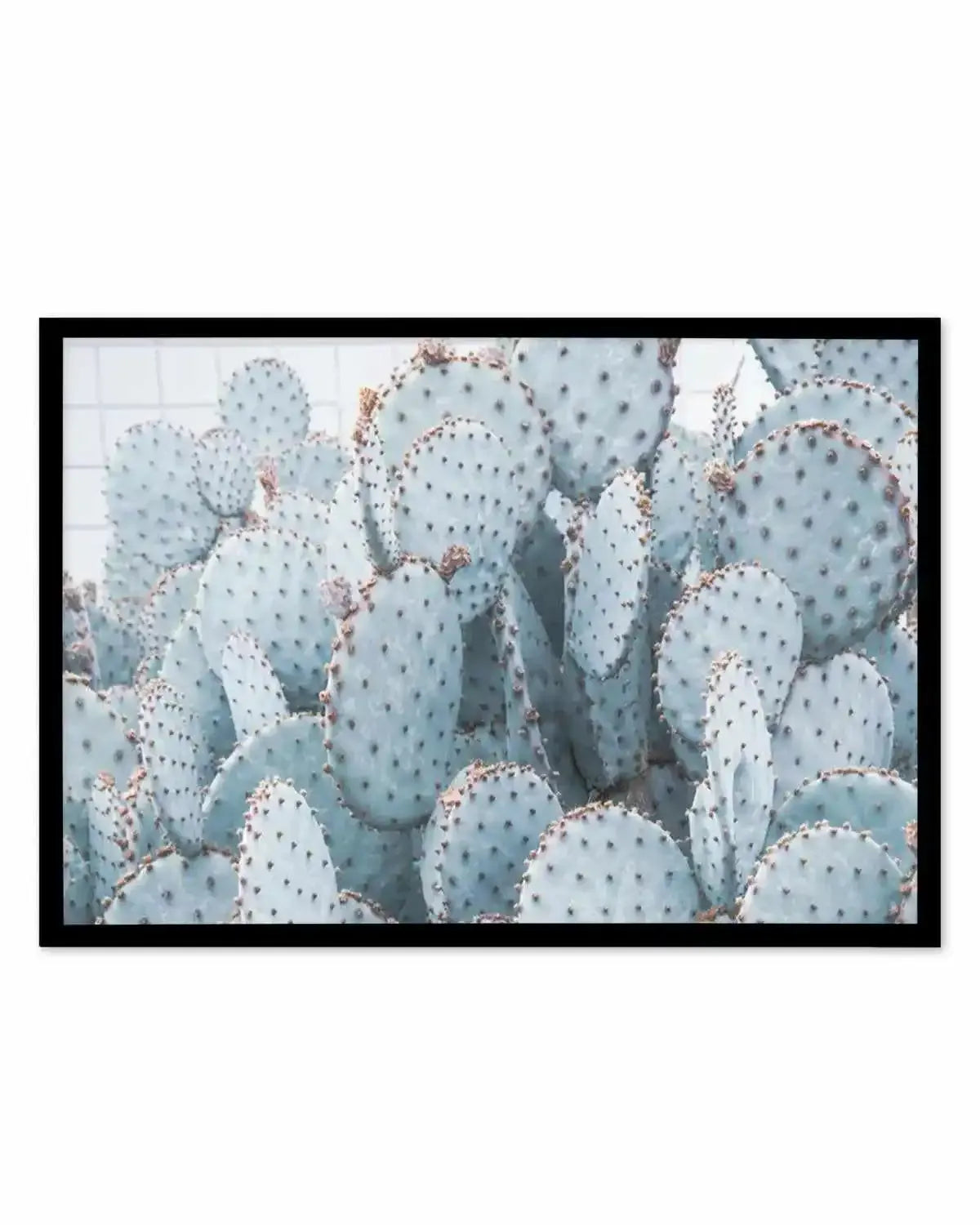 Pale Prickly Pear Cactus | LS Art Print from Olive et Oriel where you can shop wallpaper and artworks online