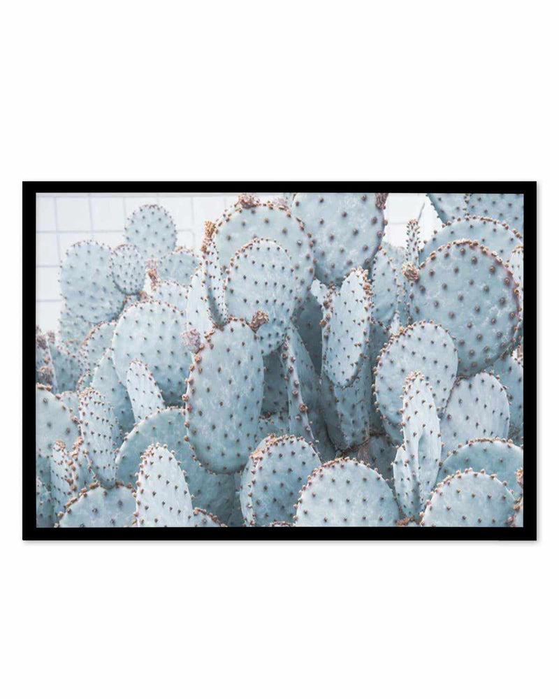 Pale Prickly Pear Cactus | LS Art Print