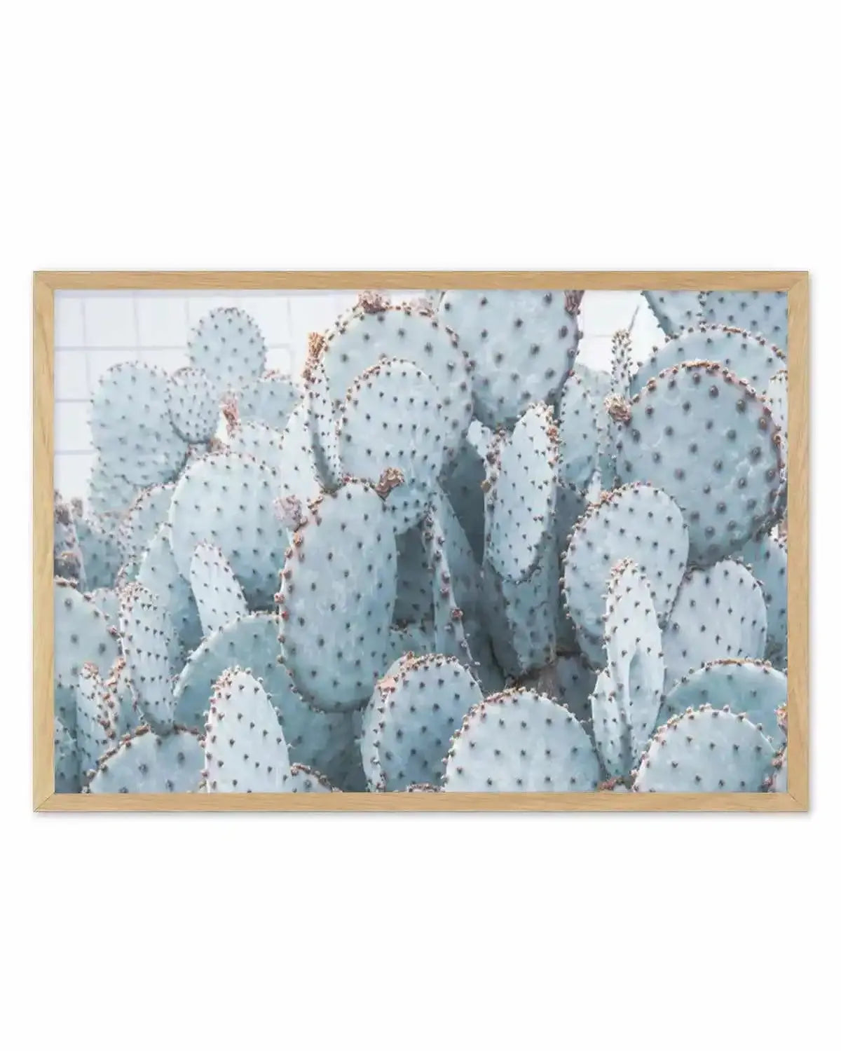 Pale Prickly Pear Cactus | LS Art Print from Olive et Oriel where you can shop wallpaper and artworks online