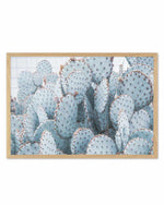 Pale Prickly Pear Cactus | LS Art Print
