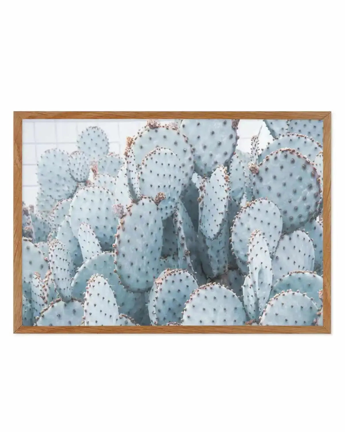 Pale Prickly Pear Cactus | LS Art Print from Olive et Oriel where you can shop wallpaper and artworks online