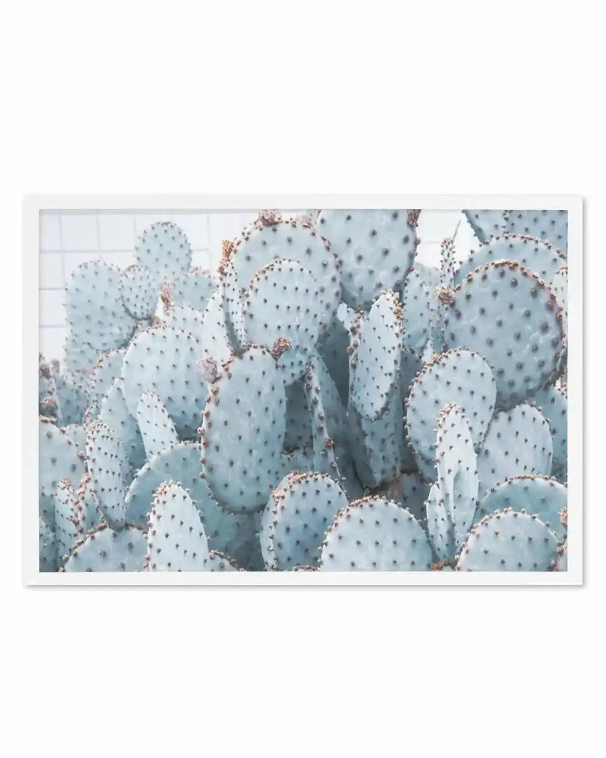 Pale Prickly Pear Cactus | LS Art Print from Olive et Oriel where you can shop wallpaper and artworks online