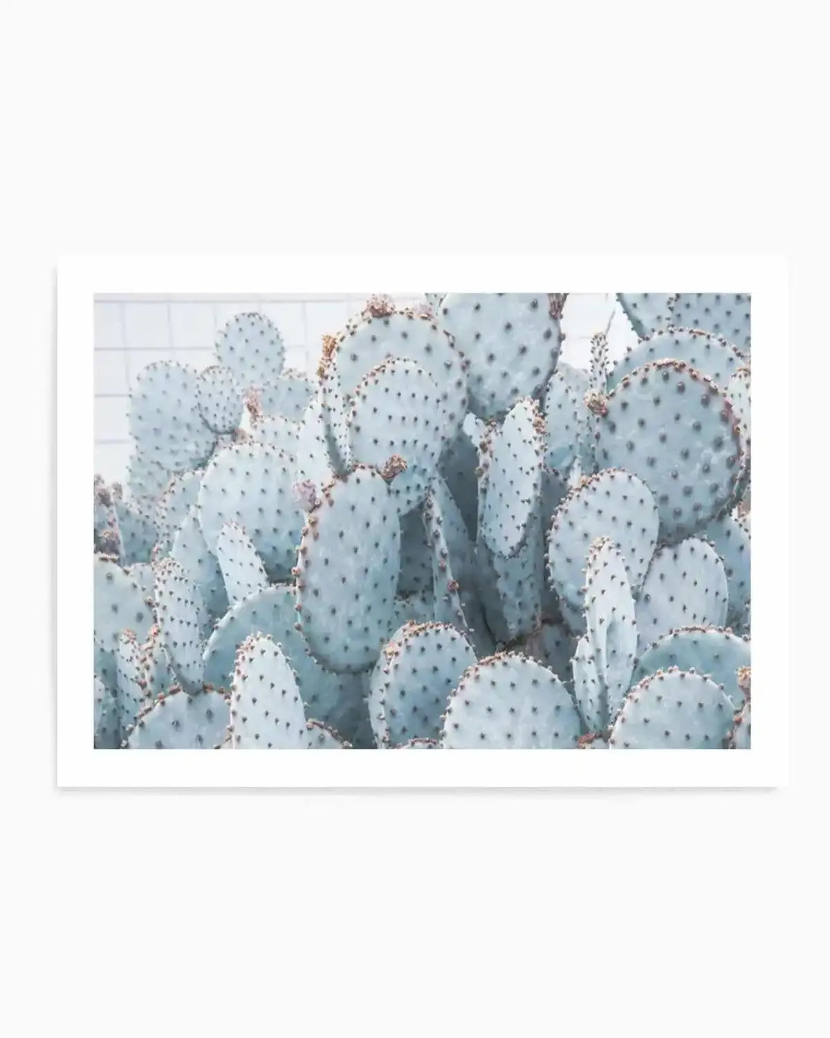 Pale Prickly Pear Cactus | LS Art Print from Olive et Oriel where you can shop wallpaper and artworks online