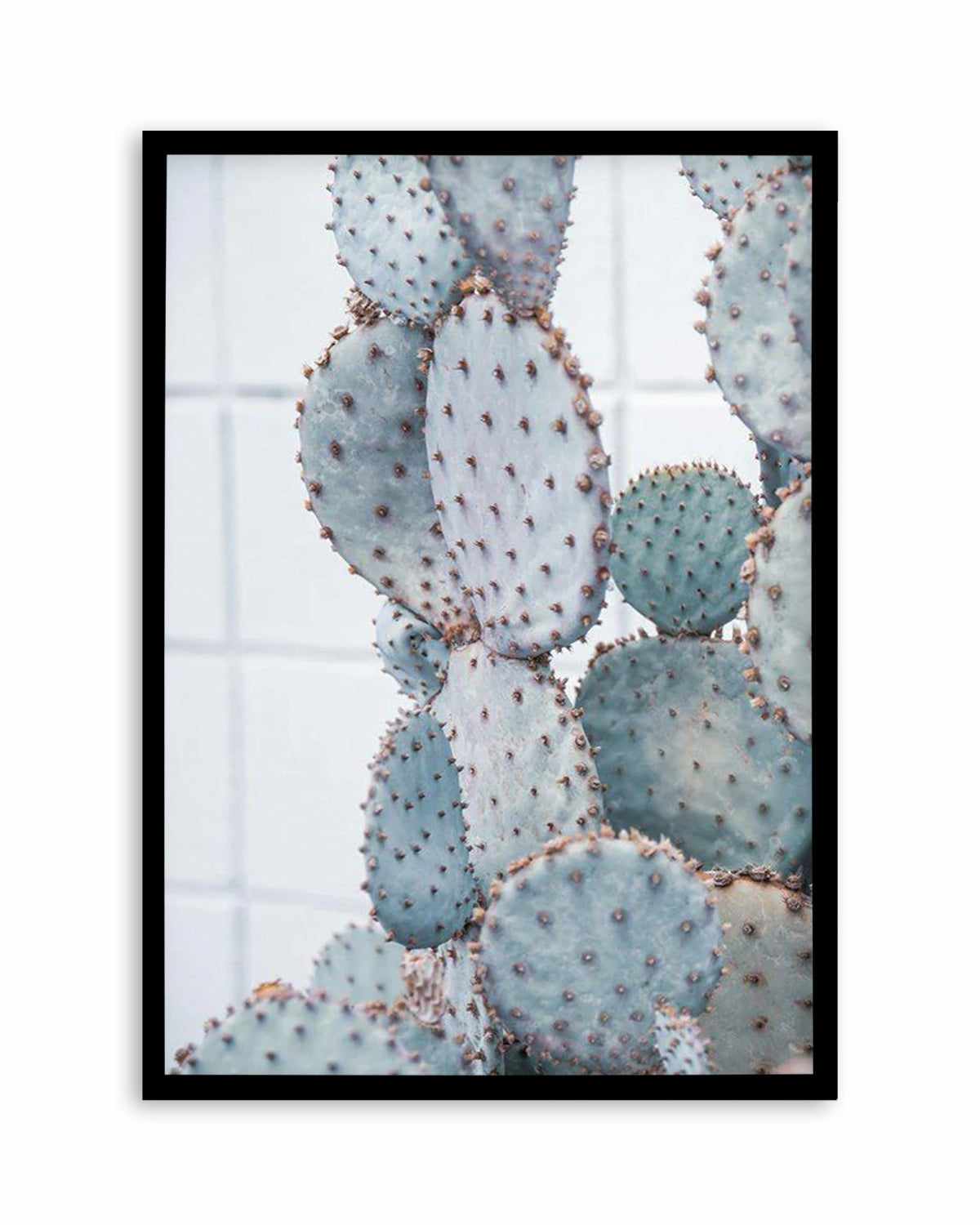 Pale Prickly Pear I Art Print