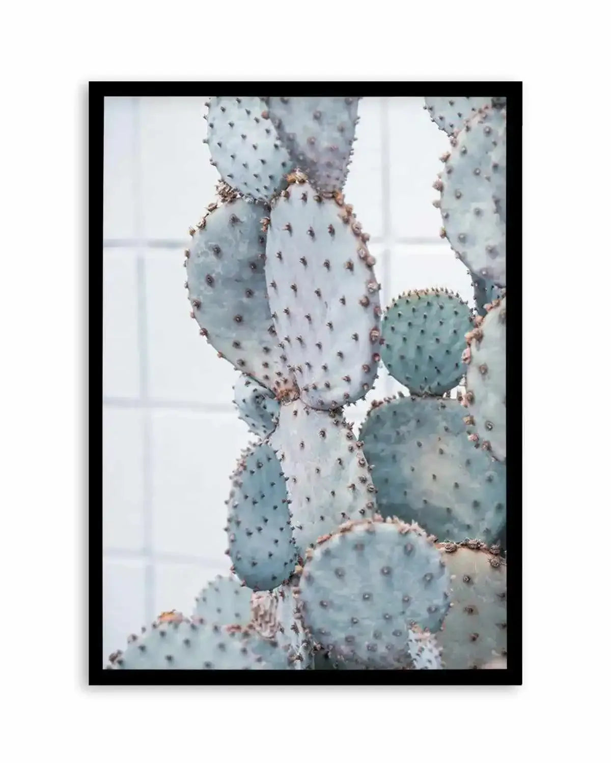 Pale Prickly Pear I Art Print from Olive et Oriel where you can shop wallpaper and artworks online
