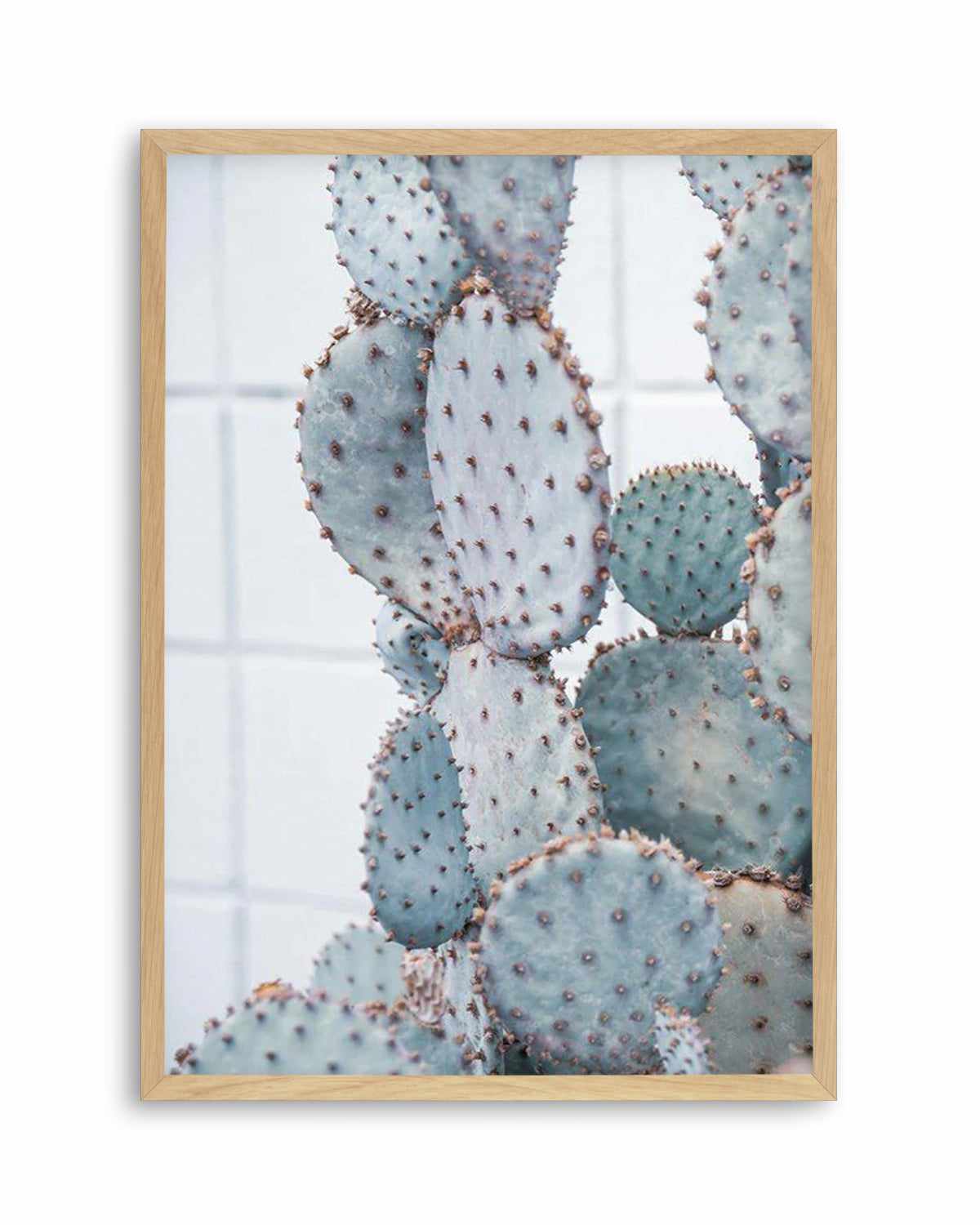 Pale Prickly Pear I Art Print