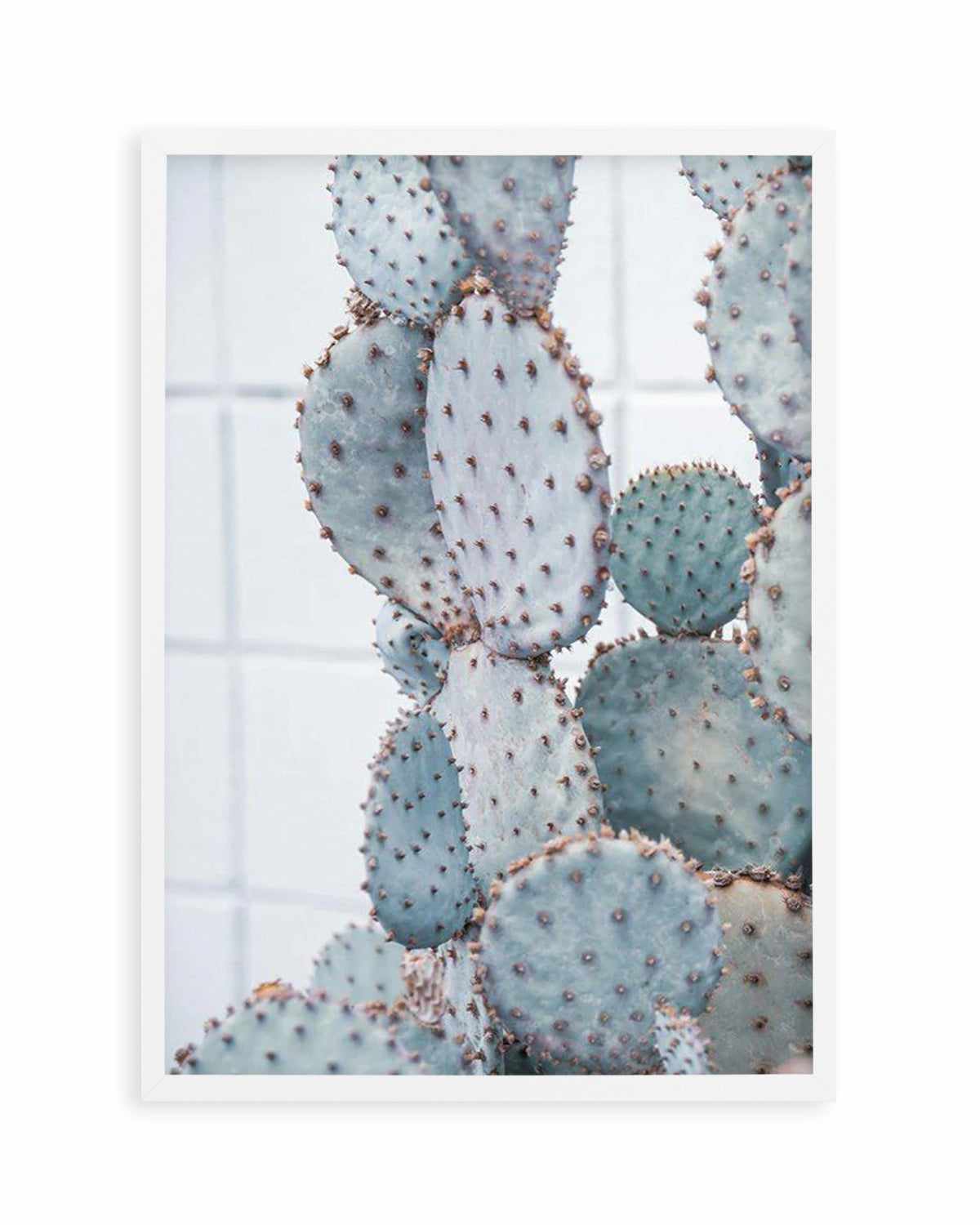 Pale Prickly Pear I Art Print