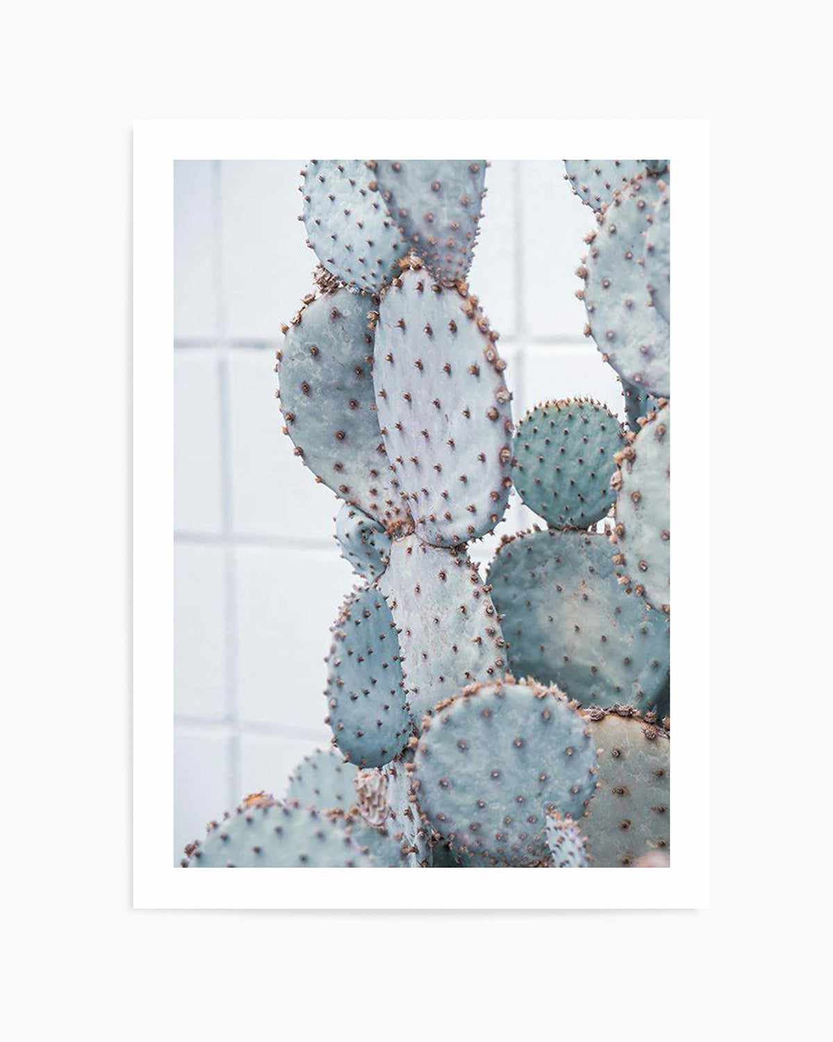 Pale Prickly Pear I Art Print