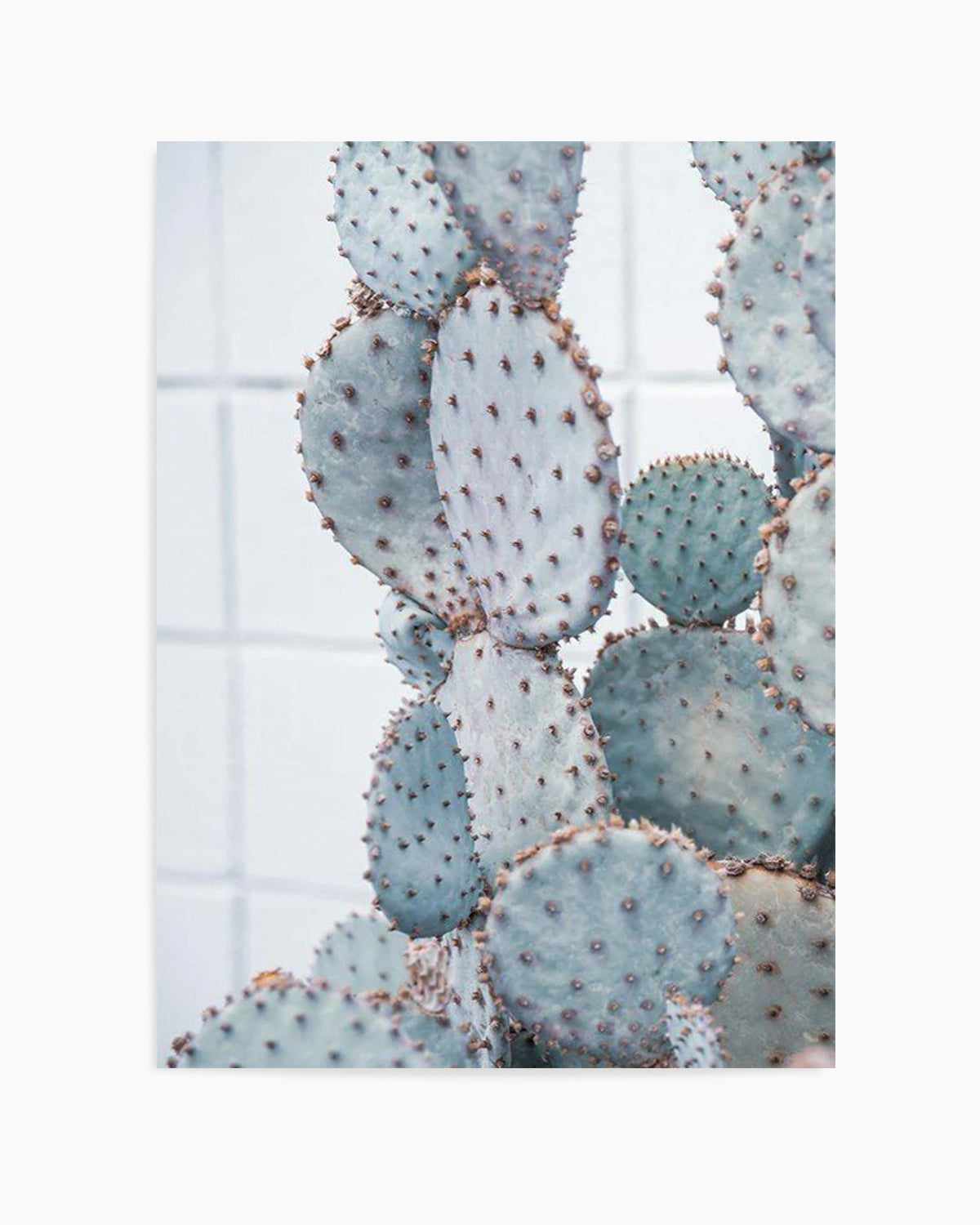 Pale Prickly Pear I Art Print